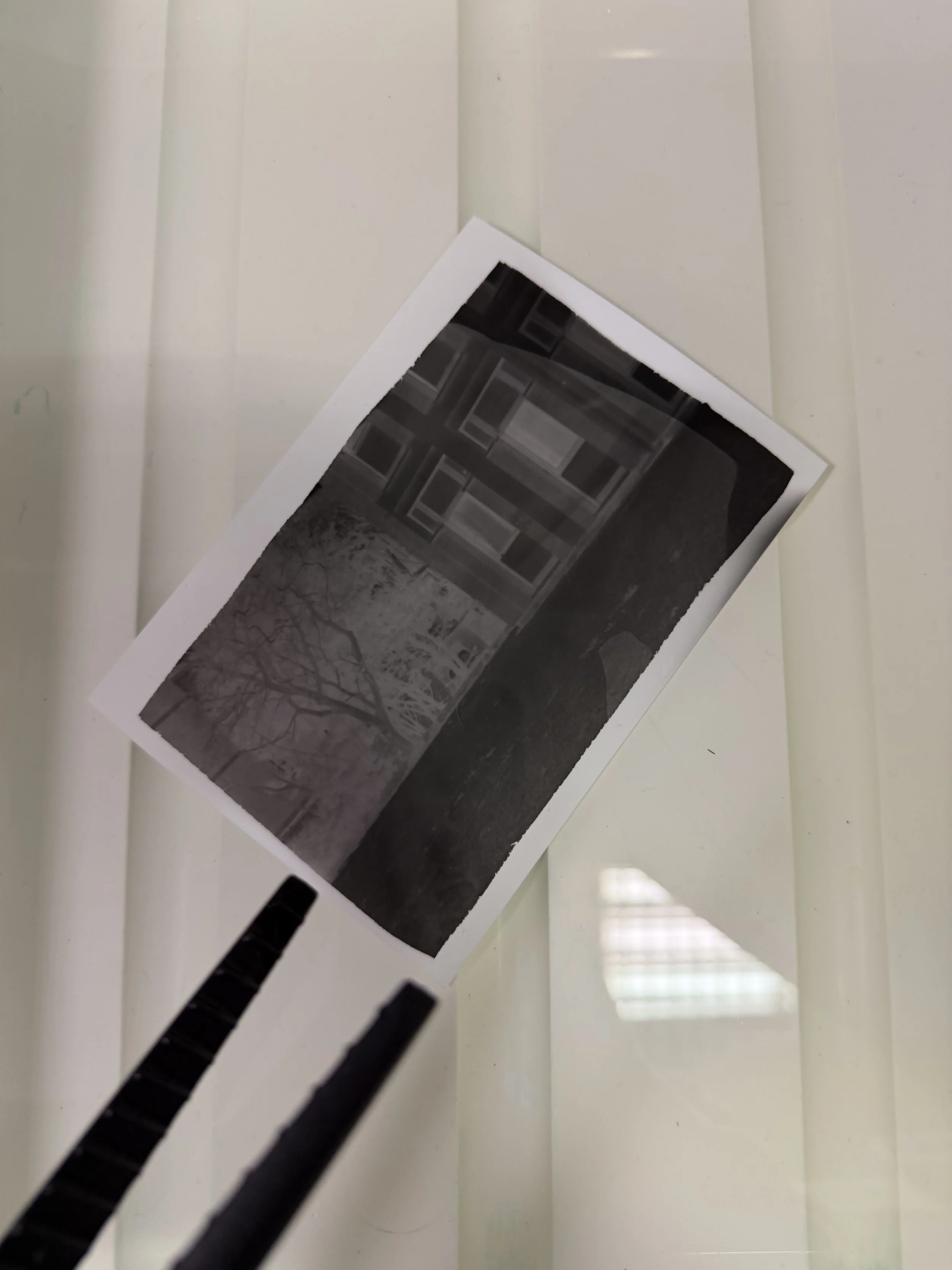 Una fotografia in bianco e nero di un edificio e di alcuni alberi, fotografata su una riproduzione cartacea