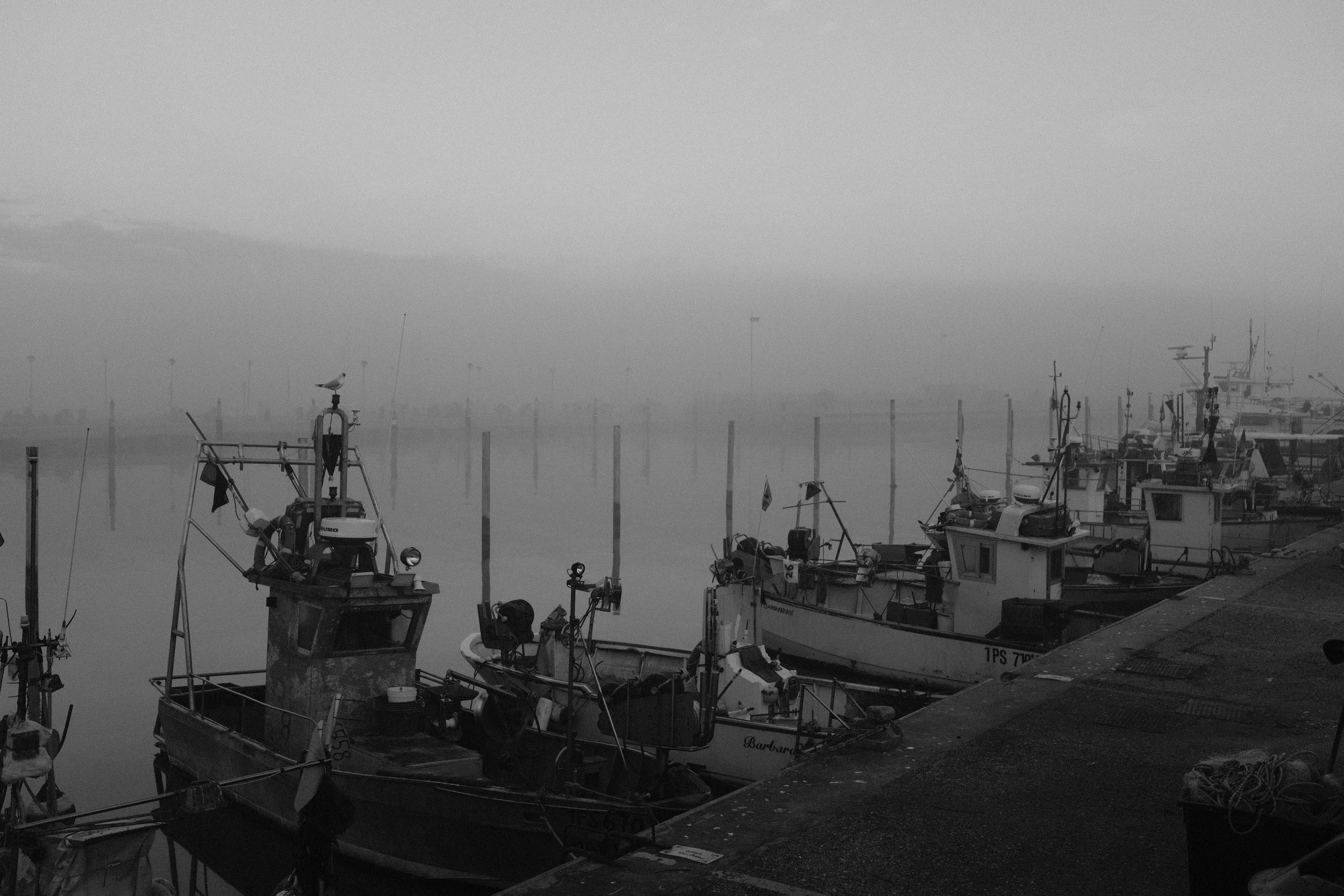 Immagine di un porto con barche ormeggiate in acque tranquille in una giornata nebbiosa.