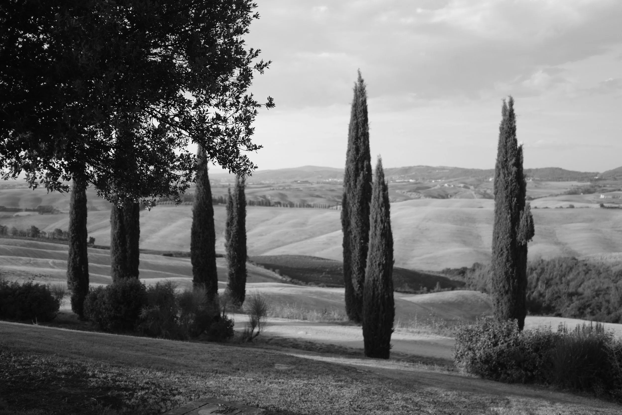 Paesaggio toscano con cipressi e colline in lontananza, in bianco e nero.