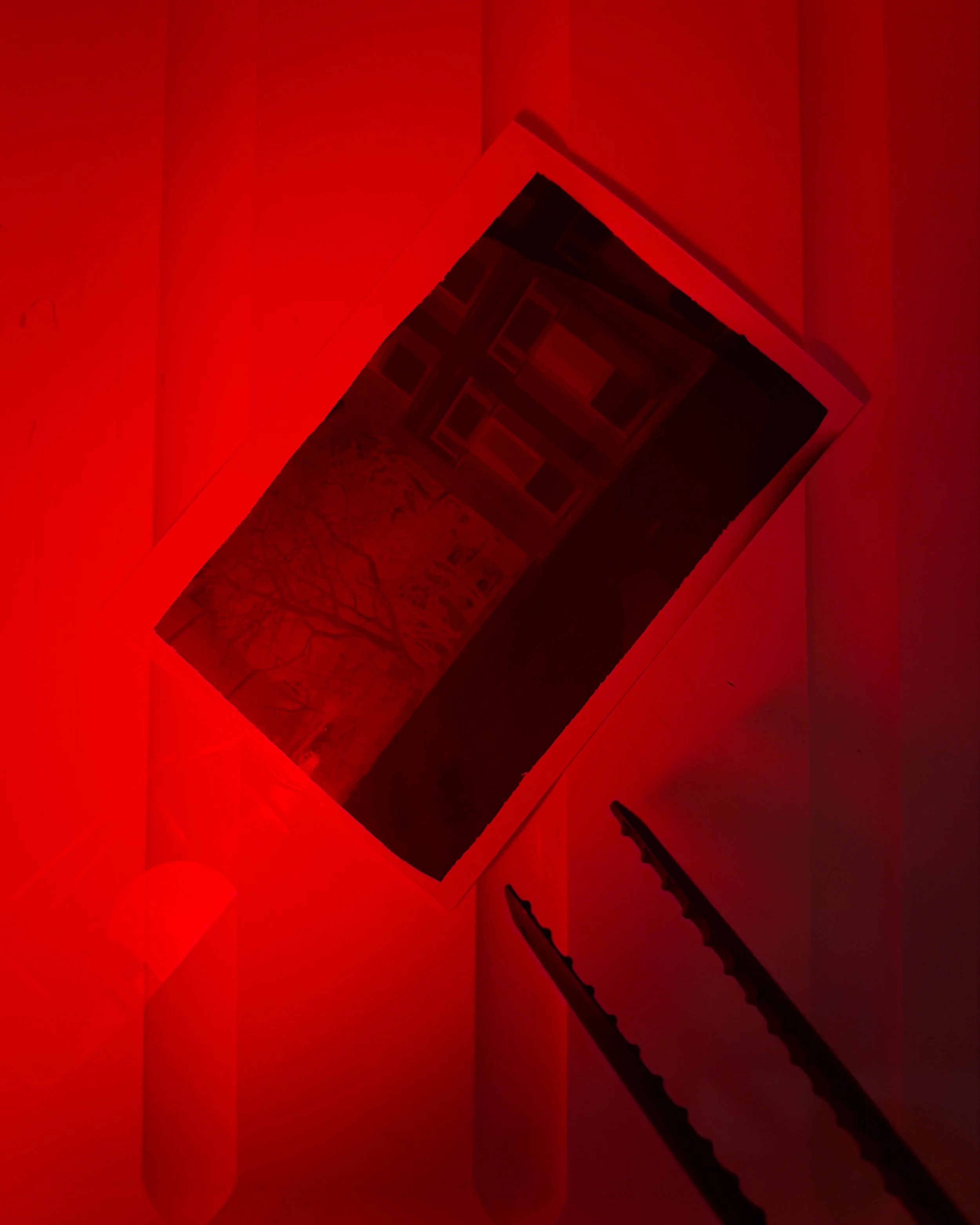 Fotografia di una stanza rossa con una scatola aperta contenente una foto e un paio di pinzette nere.