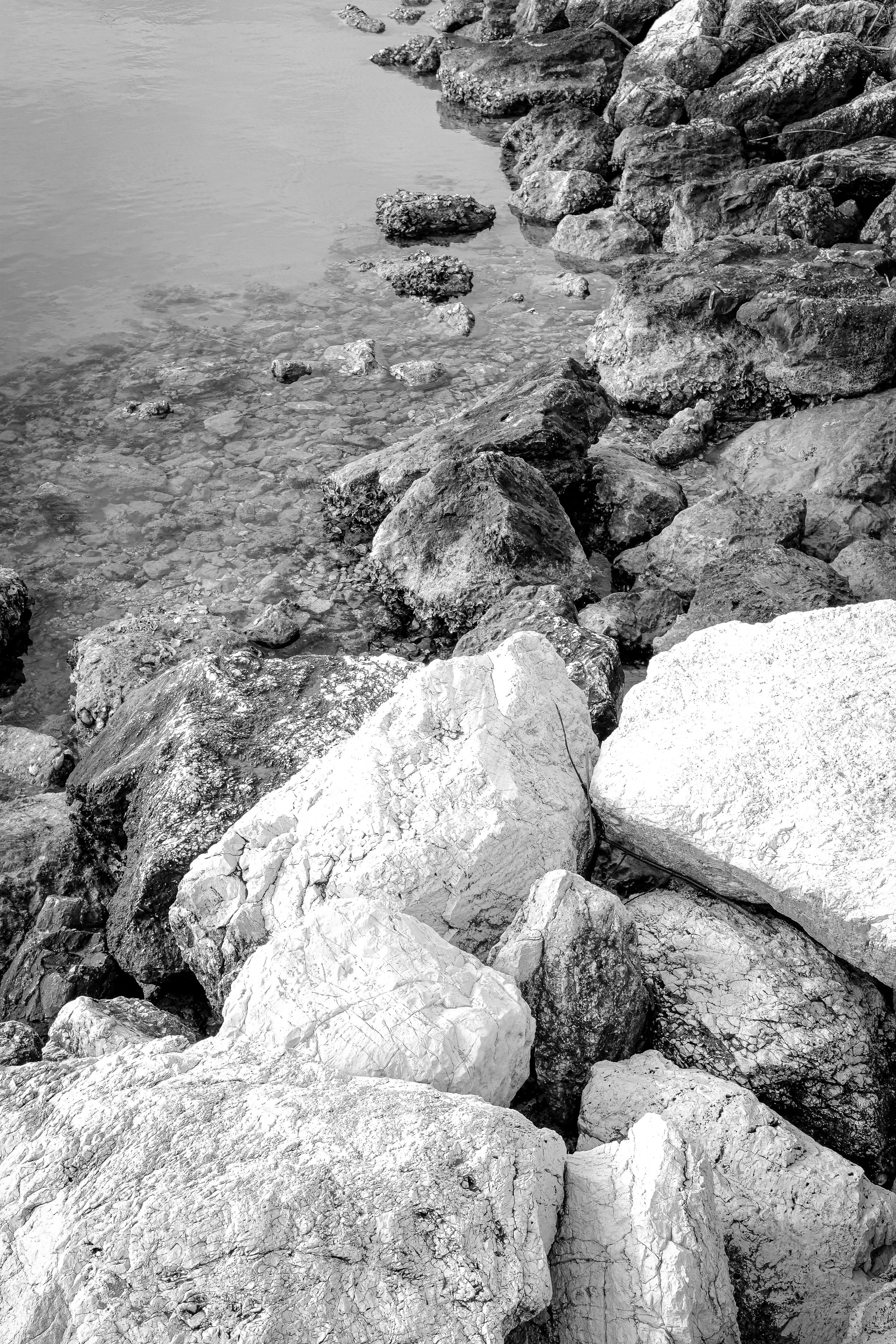 Scogliera di rocce lungo una riva con acqua calante, in bianco e nero.