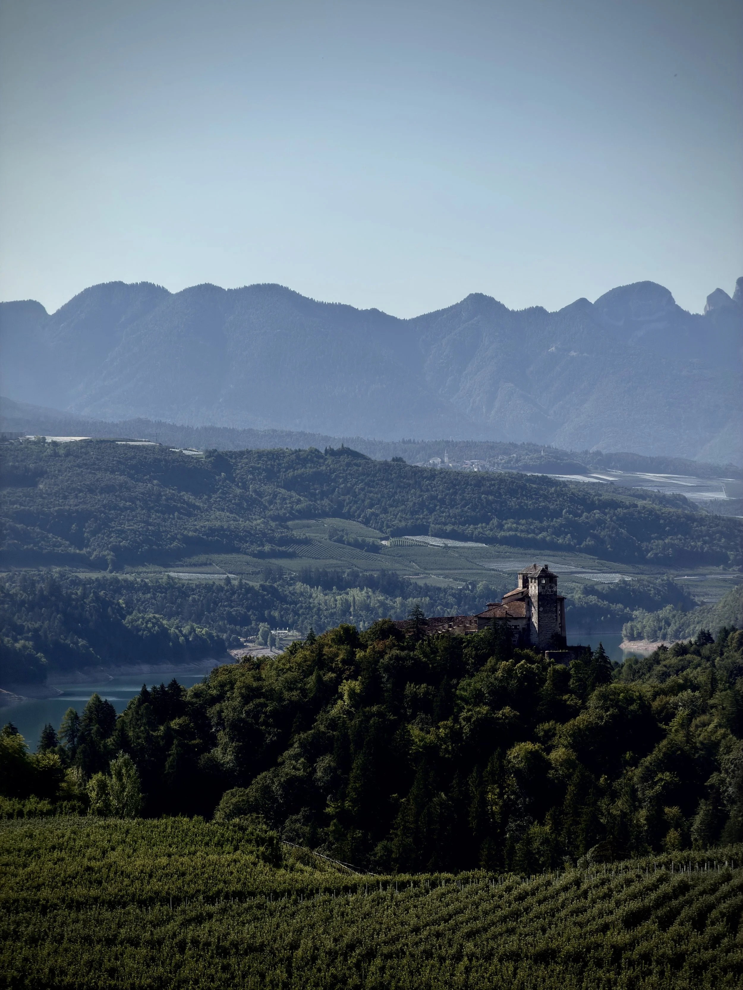 Paesaggio montano con vigneti e un castello antico su una collina, con montagne in lontananza e un cielo blu chiaro.