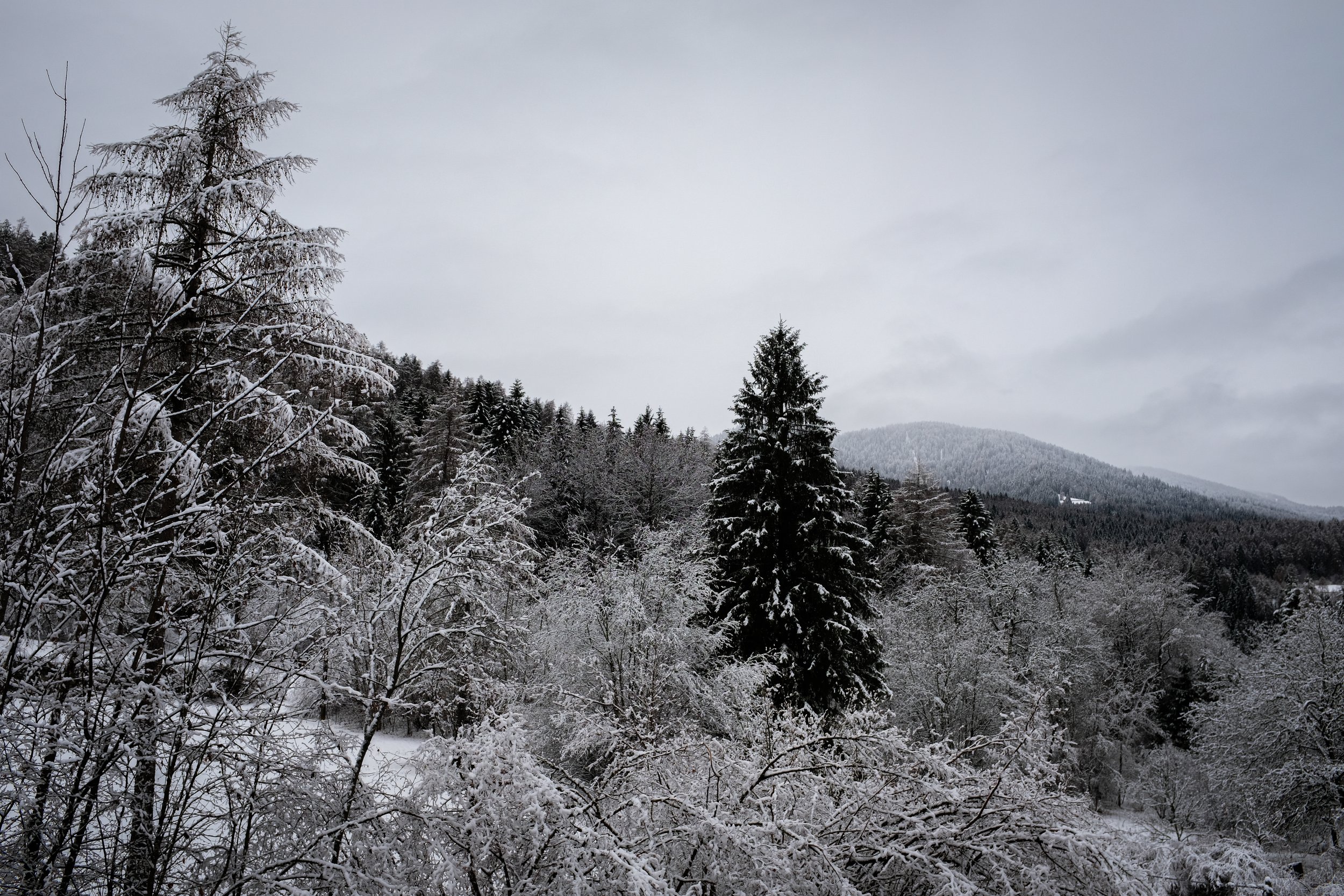 Paesaggio invernale con alberi ricoperti di neve e montagne sullo sfondo, cielo nuvoloso.