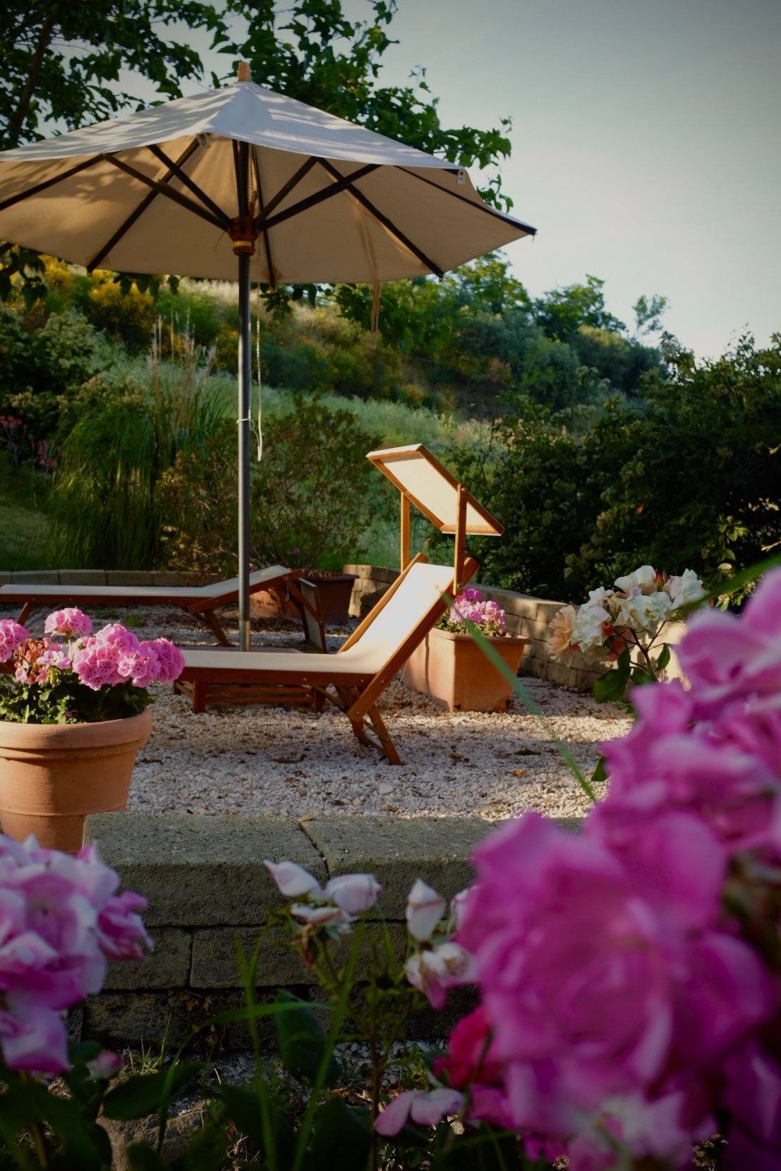 Un'area relax in giardino con sedie a sdraio, ombrellone e fiori colorati in vaso