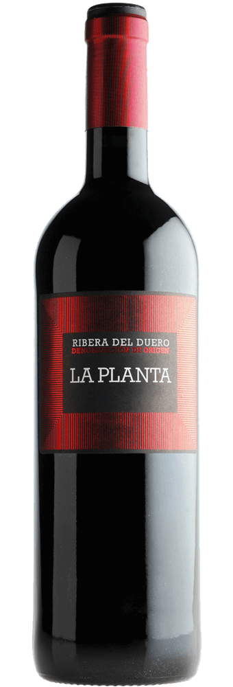 RIBERA-DEL-DUERO1.png