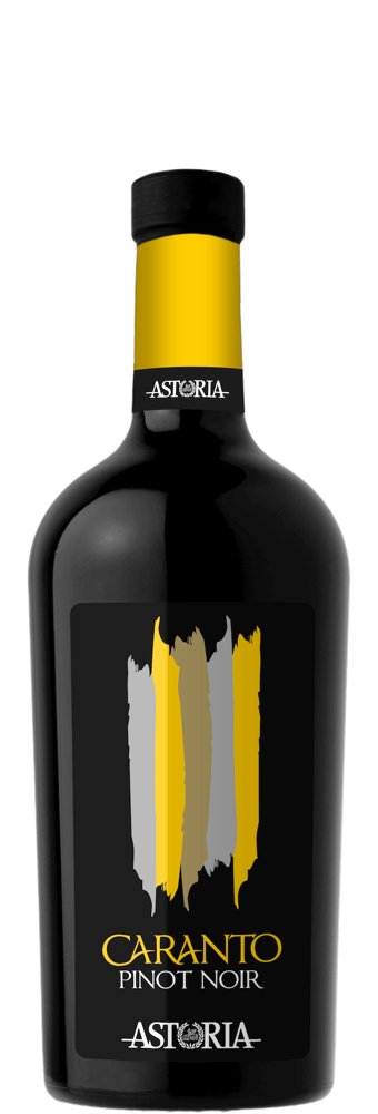ASTORIA-7.png
