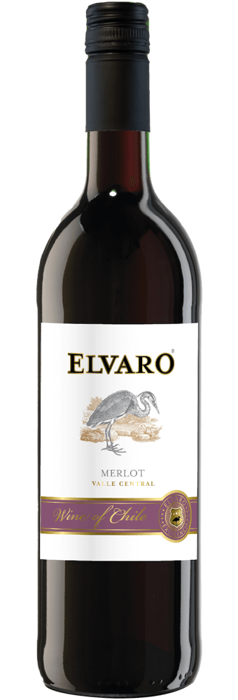 LUIS-FELIPE-EDWARDS2.png