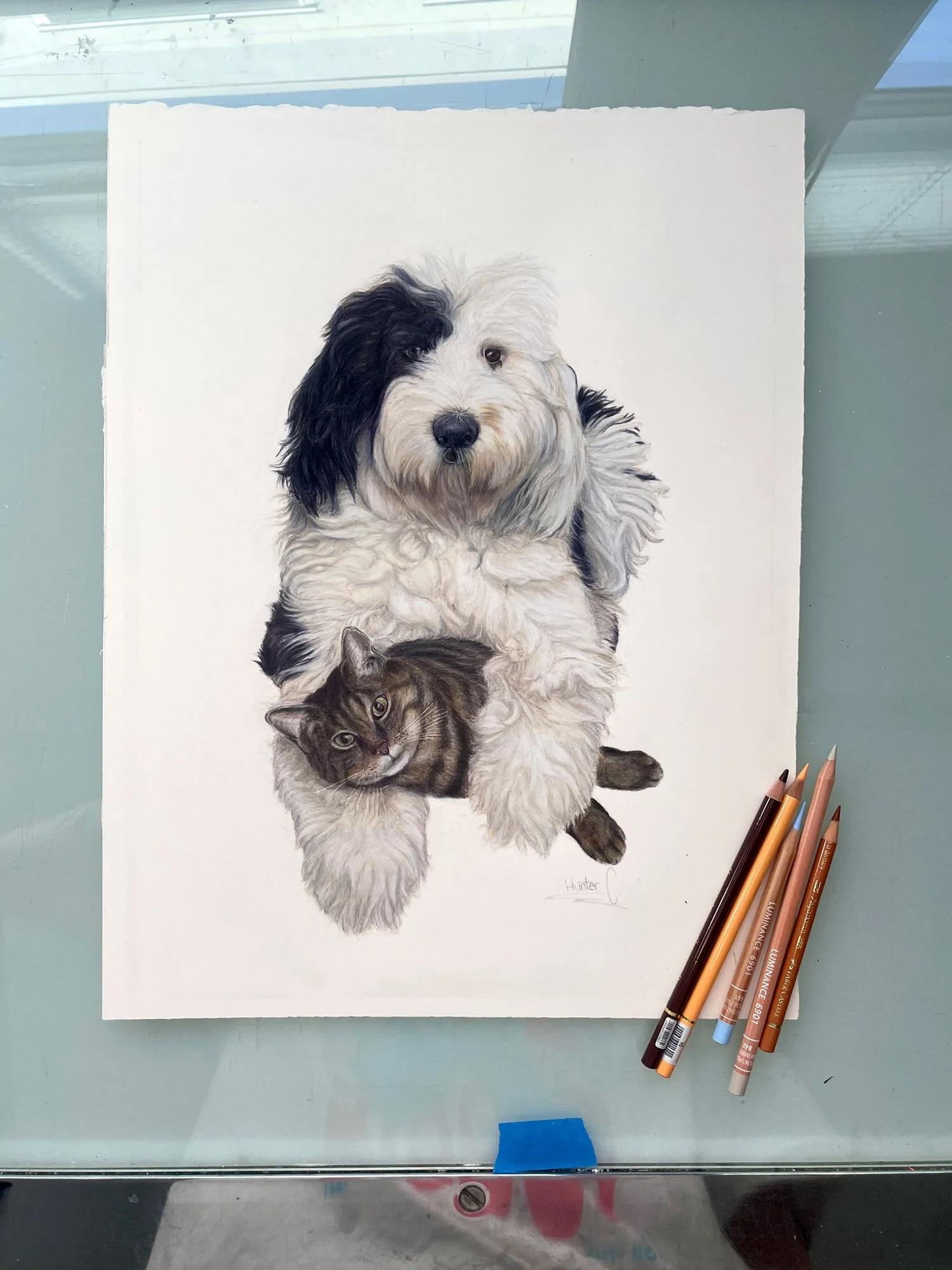 A realistic colored Pencil drawing of a fluffy black and white puppy with one black ear and one white ear, sitting next to a tabby kitten with gray and brown fur, on a white sheet of paper. Drawing supplies are visible at the bottom right corner.