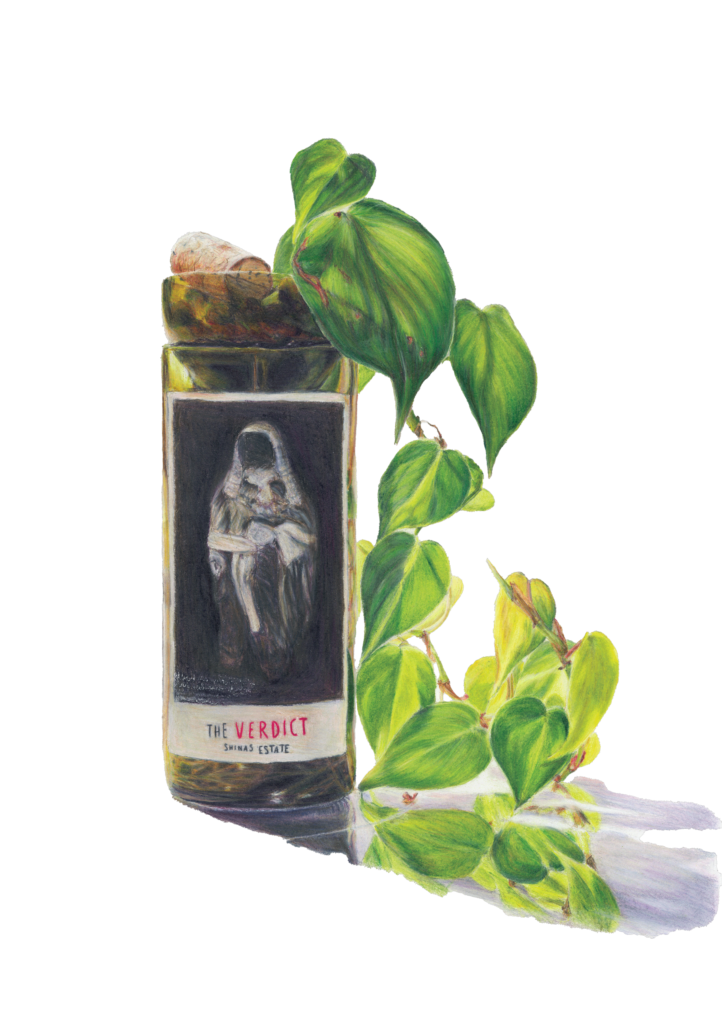 A fine art commission in coloured pencil, featuring an illustration of a wine bottle labelled 'The Verdict', surrounded by green leaves on a white surfaced background.