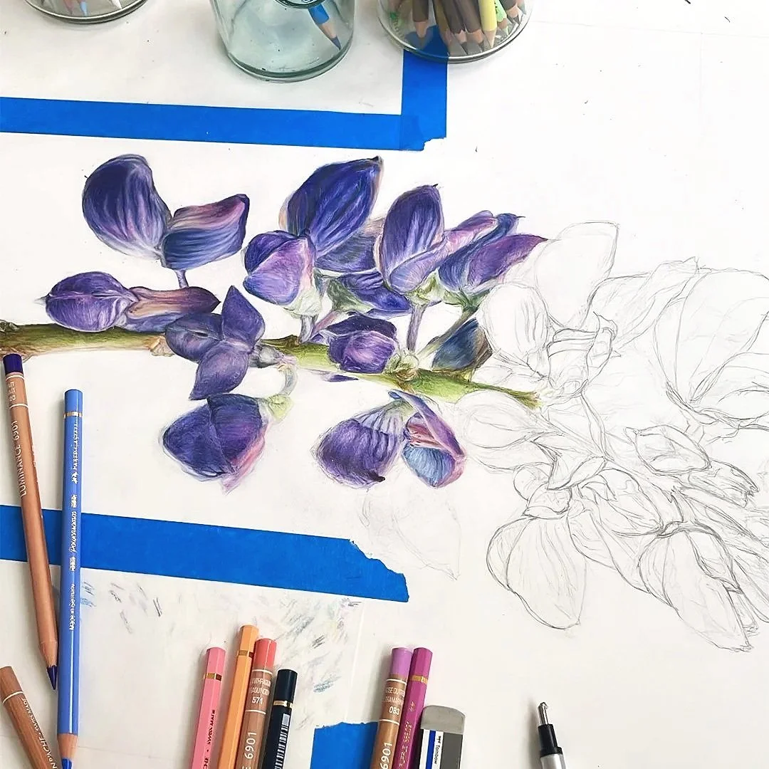 Under progress artwork of a purple flower, with colored pencils and sketch lines on a white paper.