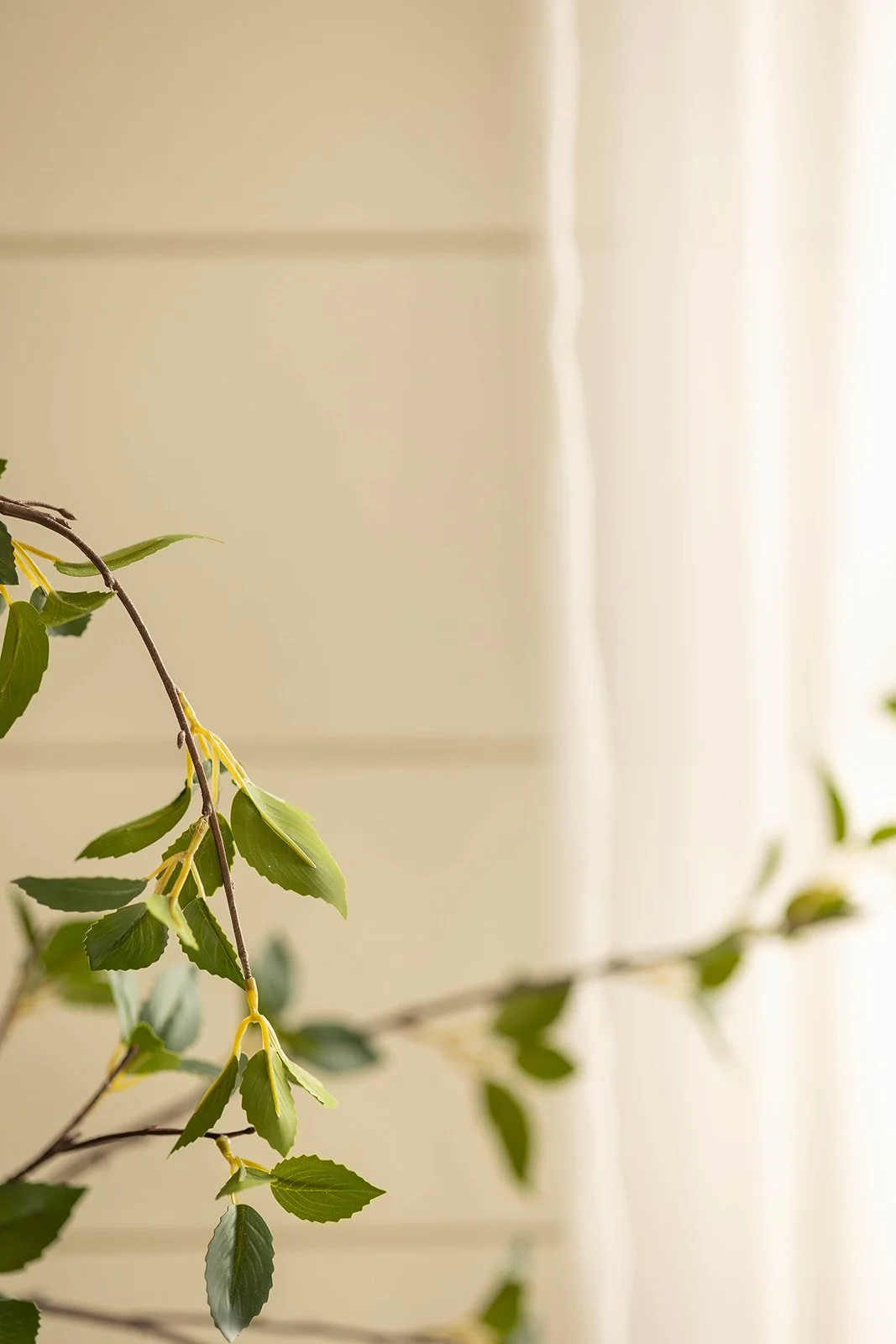 Michelle Branding-160_websize.jpg