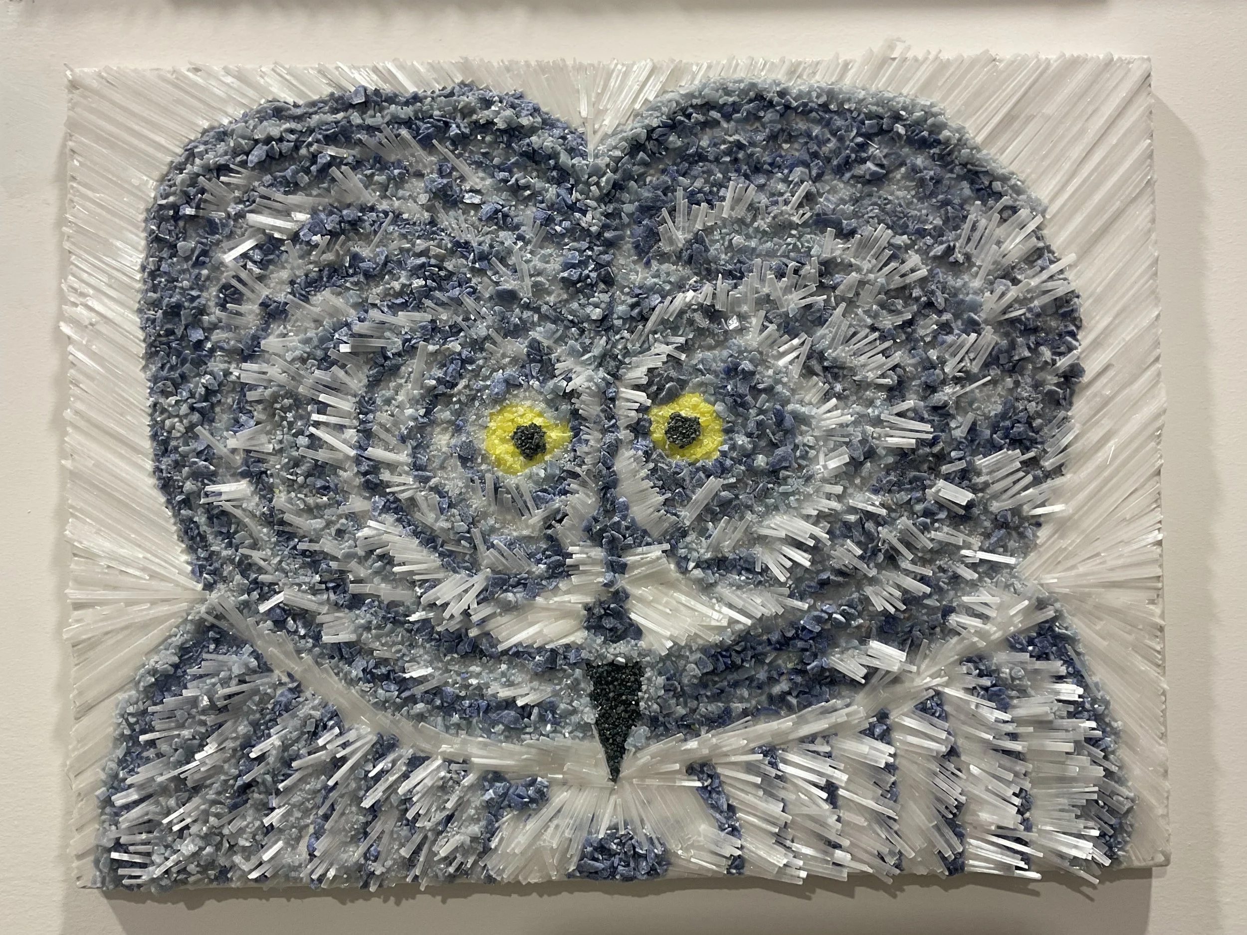 Grey Owl