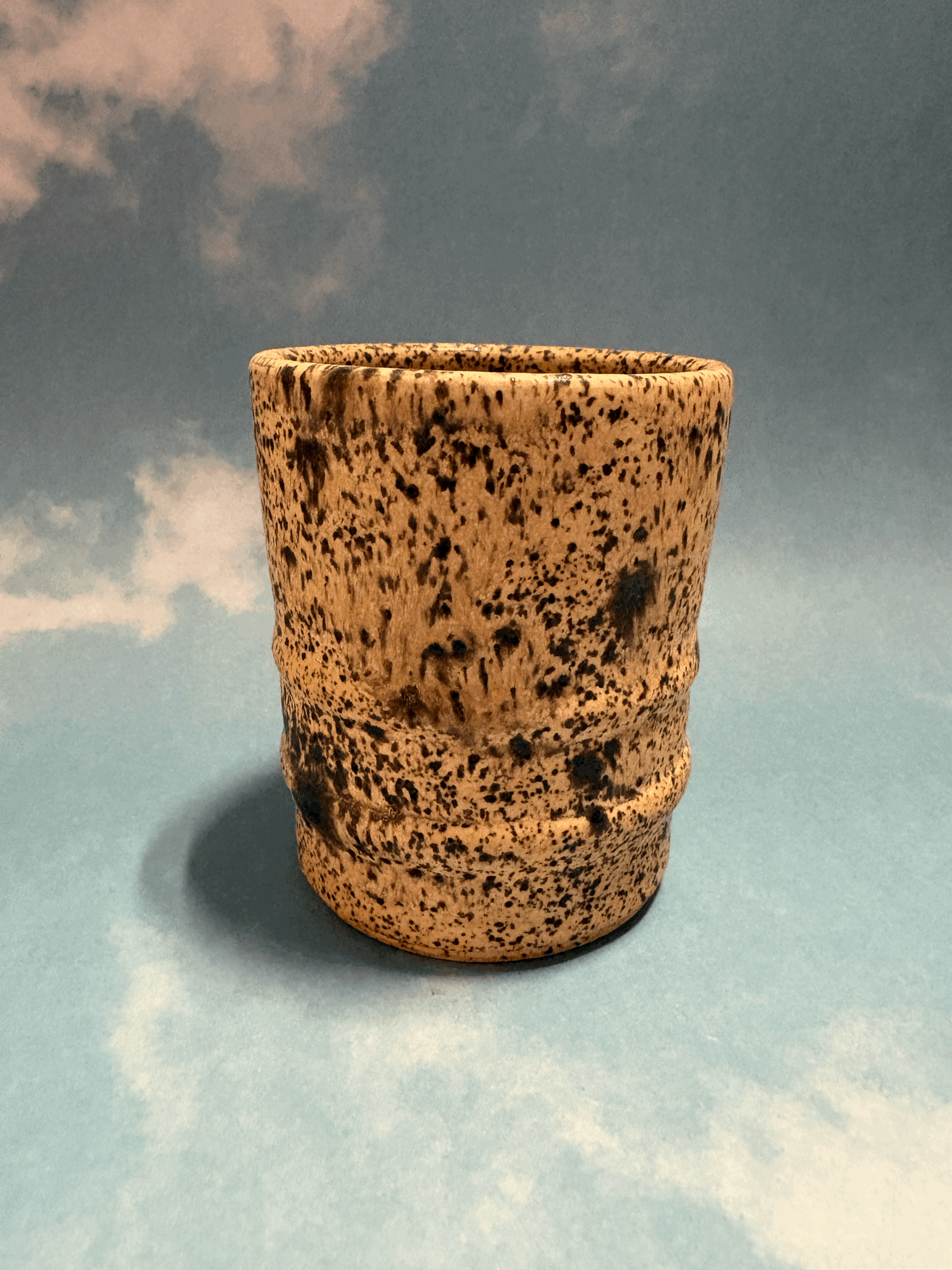 tempImagepVRond.gif