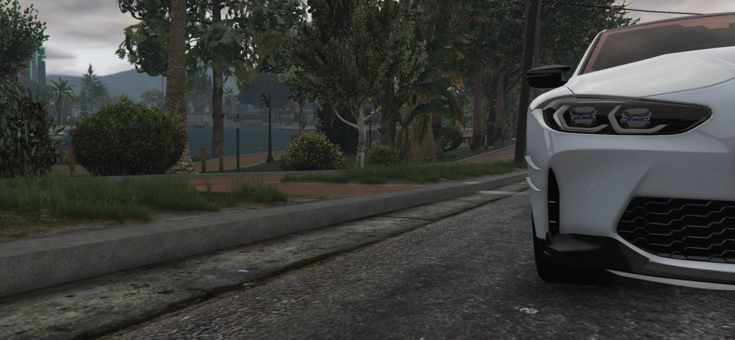 Taken by Dylan Burridge