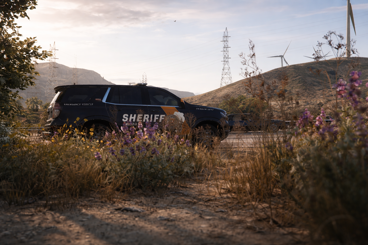 Taken by Dylan Burridge