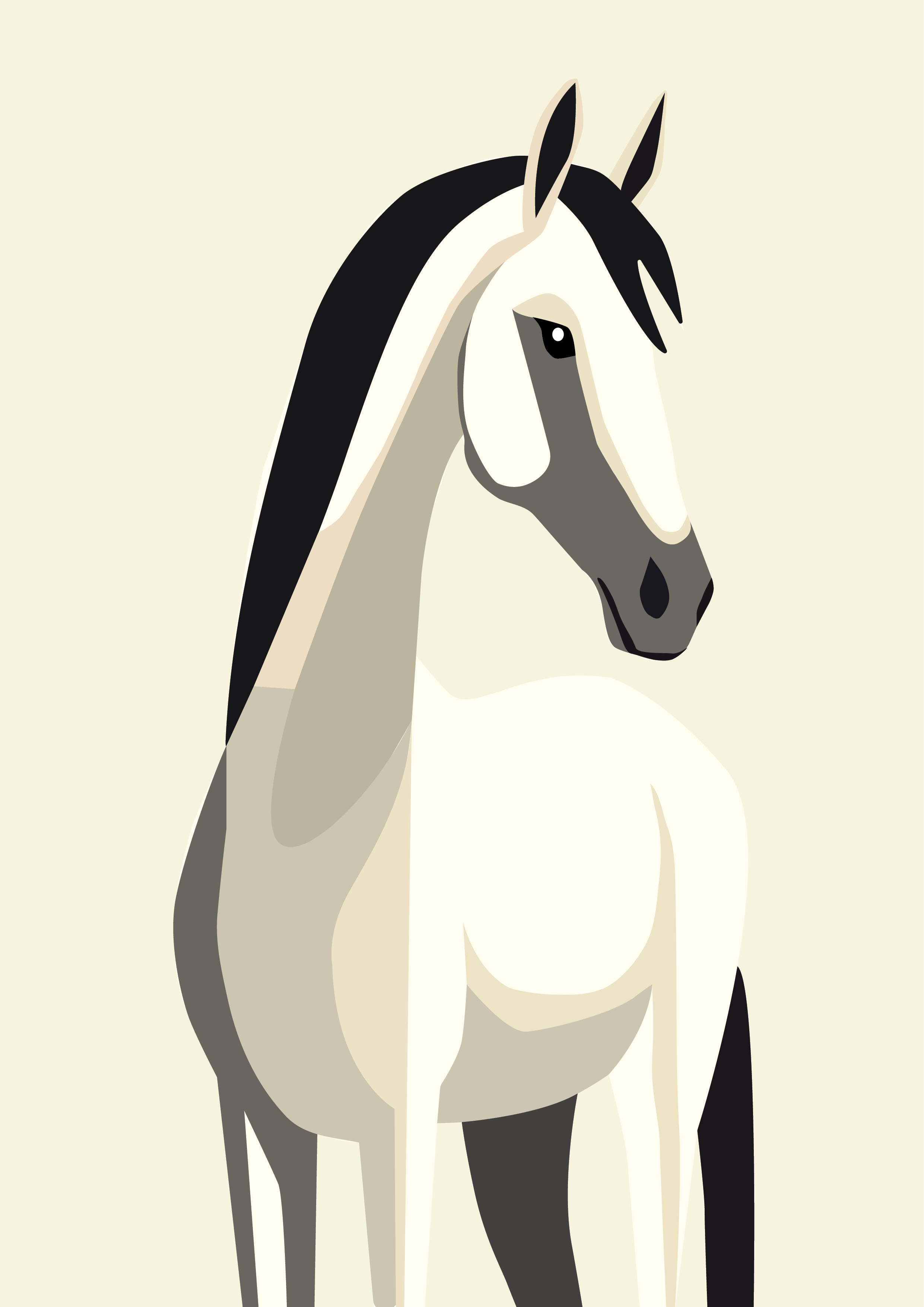 Majestic White Horse Illustration Print