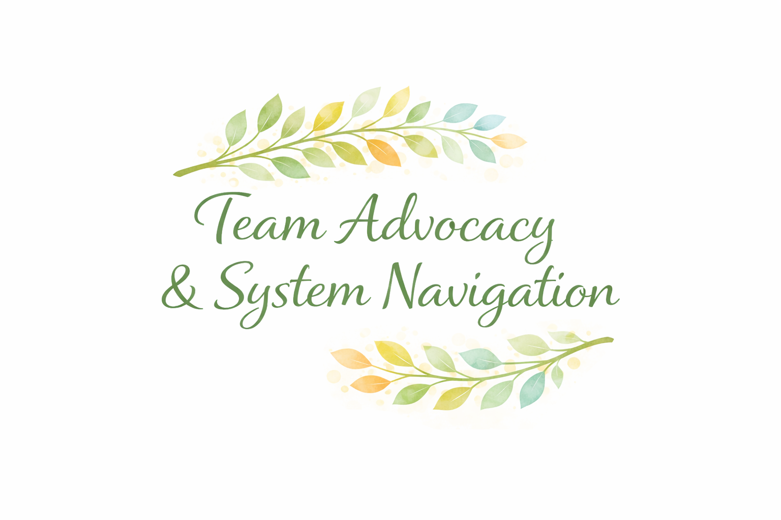 Team Advocacy & System Navigation