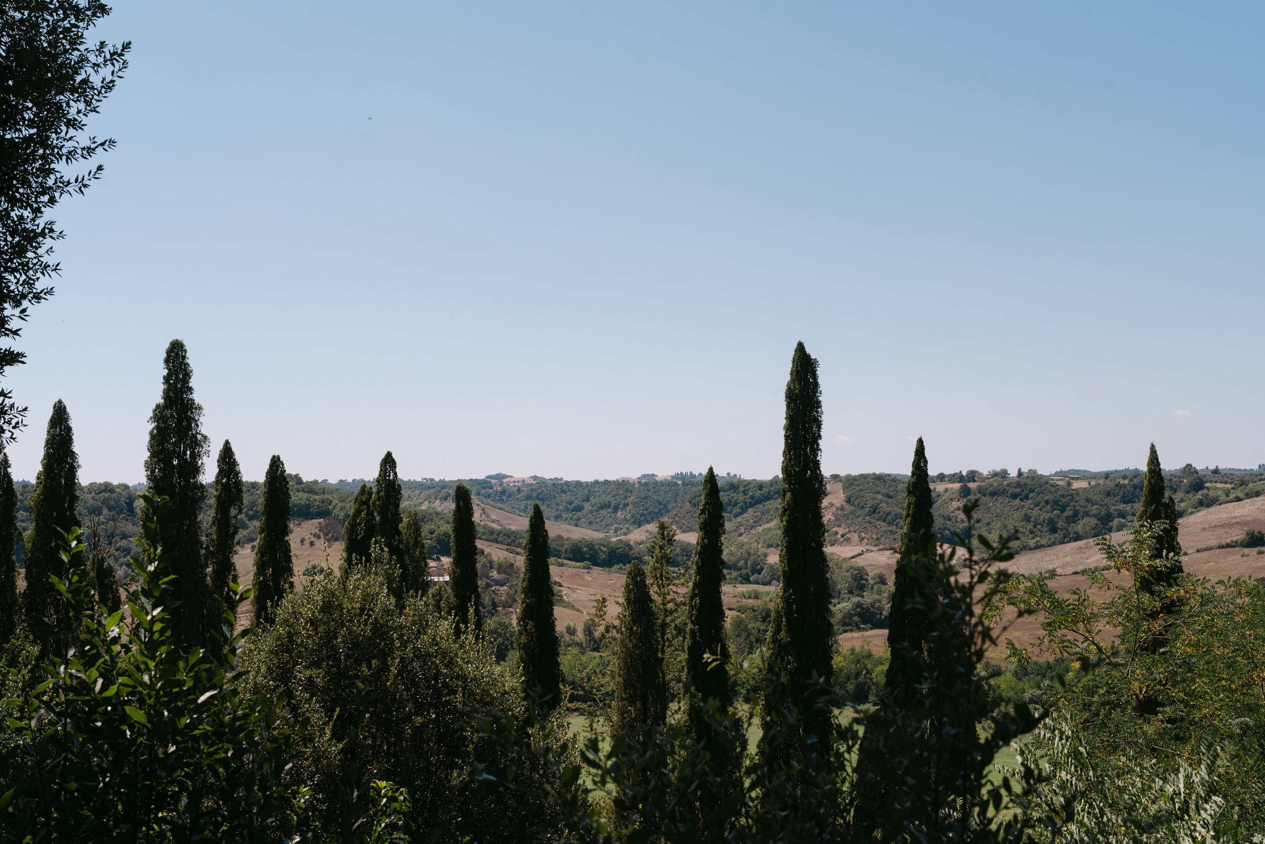 A scenic view of a rural landscape with tall, slender cypress trees in the foreground, rolling hills in the background, and a clear blue sky.