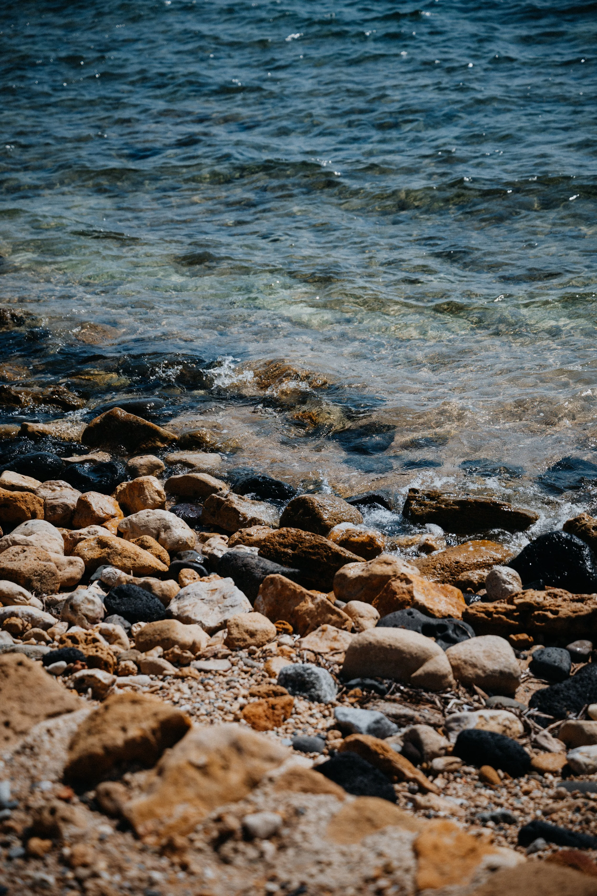 DSC_7032.jpg