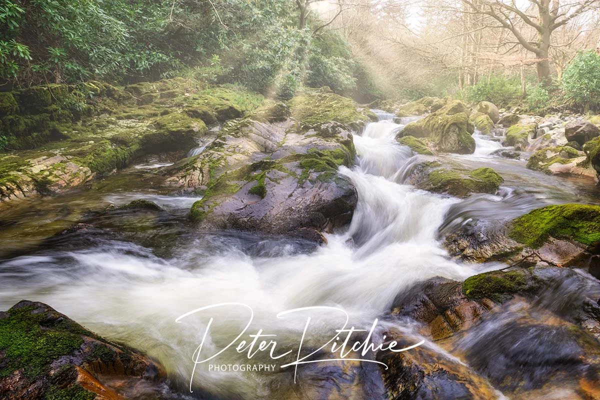 Shimna River, Tollymore Forest, County Down - Colour