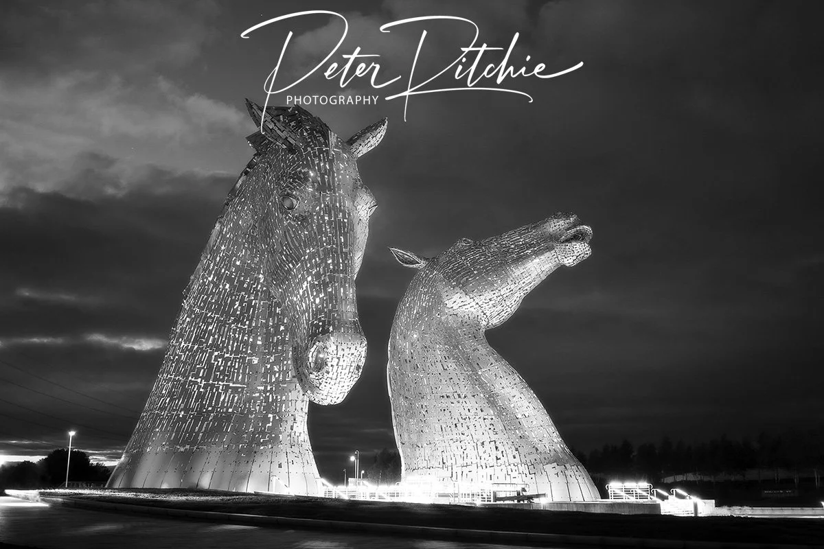 The Kelpies, Falkirk - Black and White
