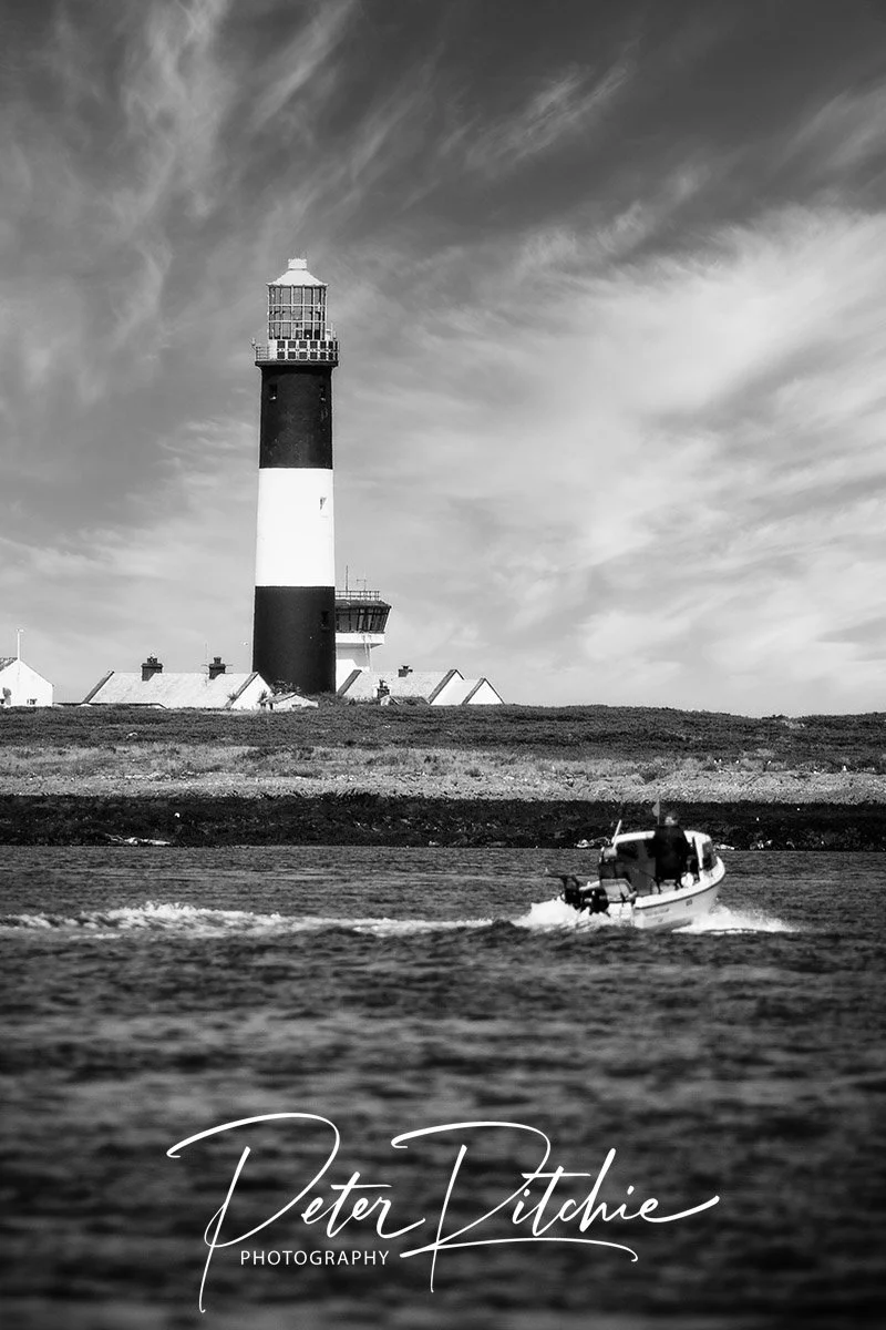 Mew Island Lighthouse, Copeland Islands - Black and White