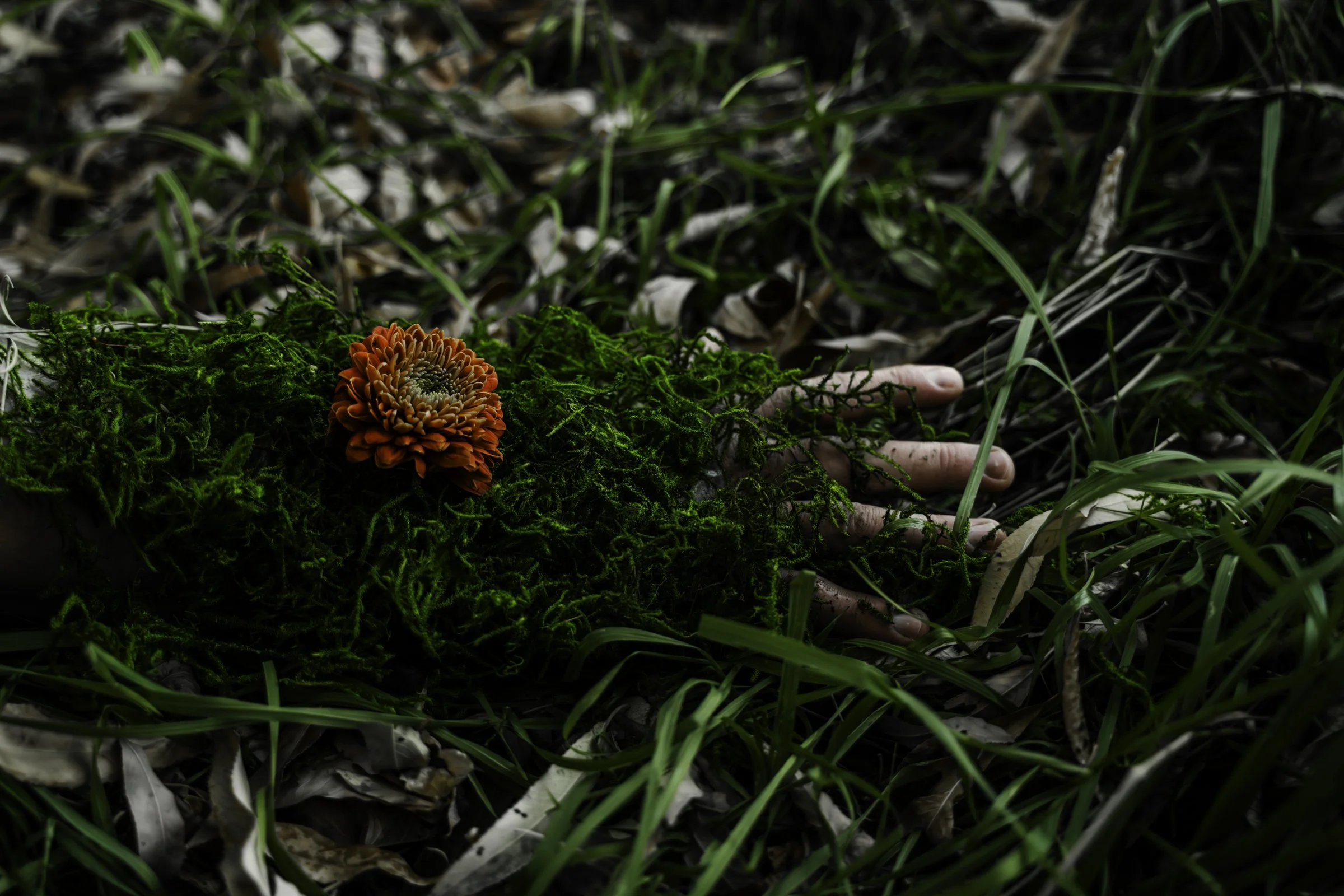 Brancato_Tessa_5 TI.jpg