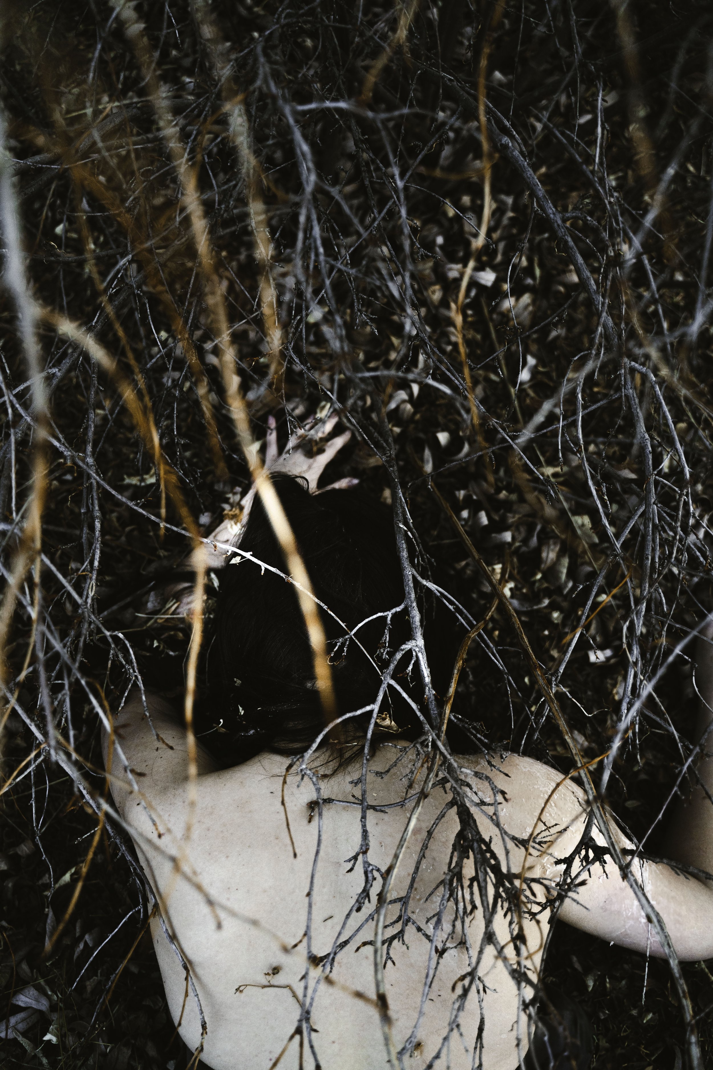 HANNAG BACK ALIVE.jpg