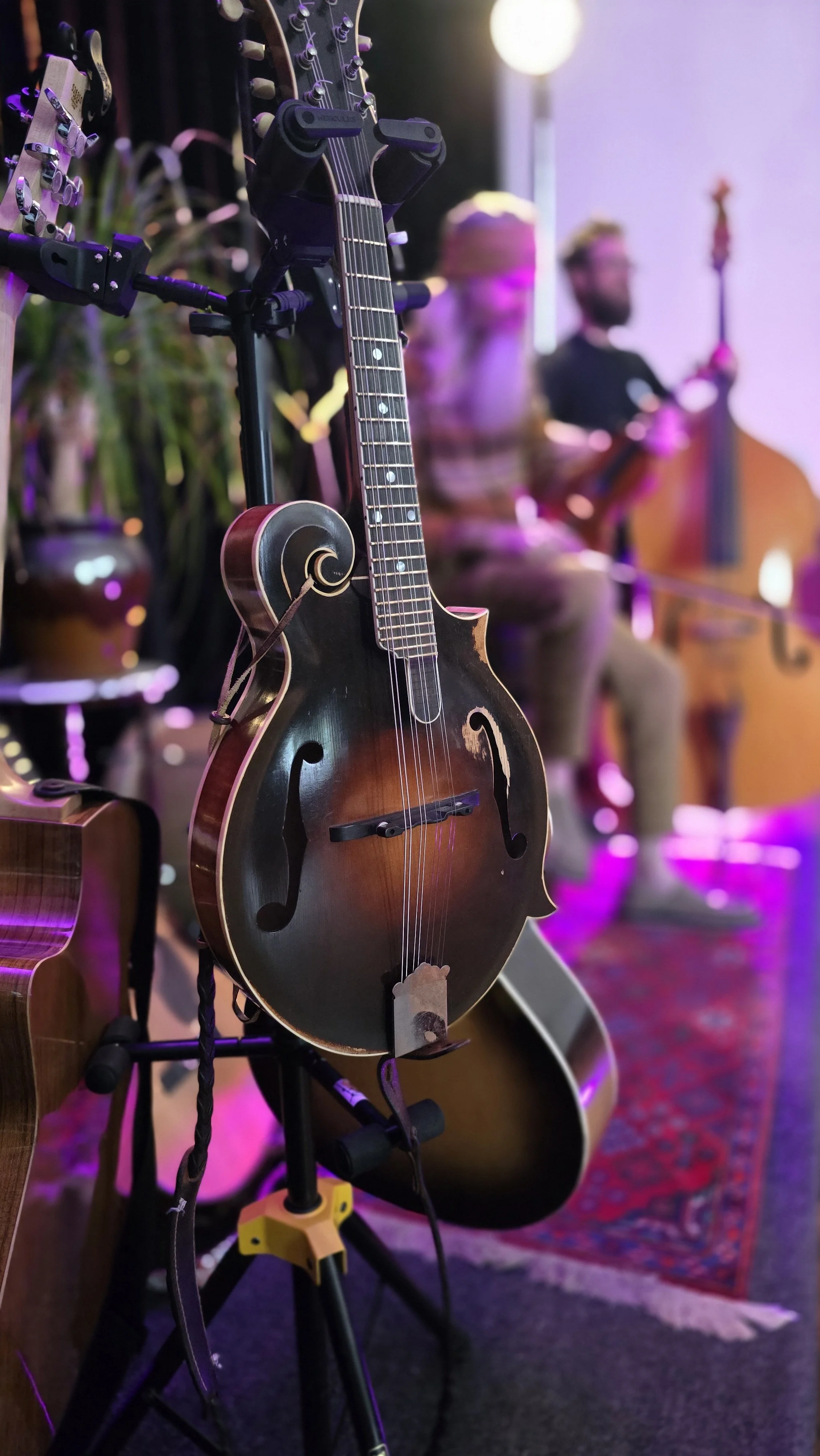 Close-up of a vintage archtop guitar on a stand, with other guitars and blurred musicians playing in the background in a warmly lit room with purple and pink stage lighting.
