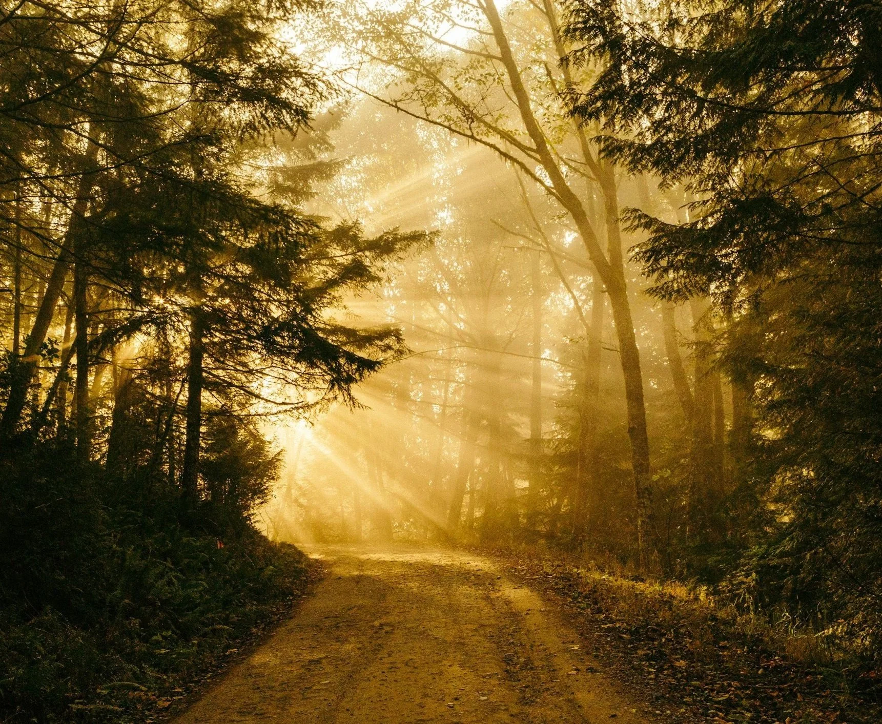 The 3 Stages of Sustainability Transformation: Reflect, Integrate, Implement