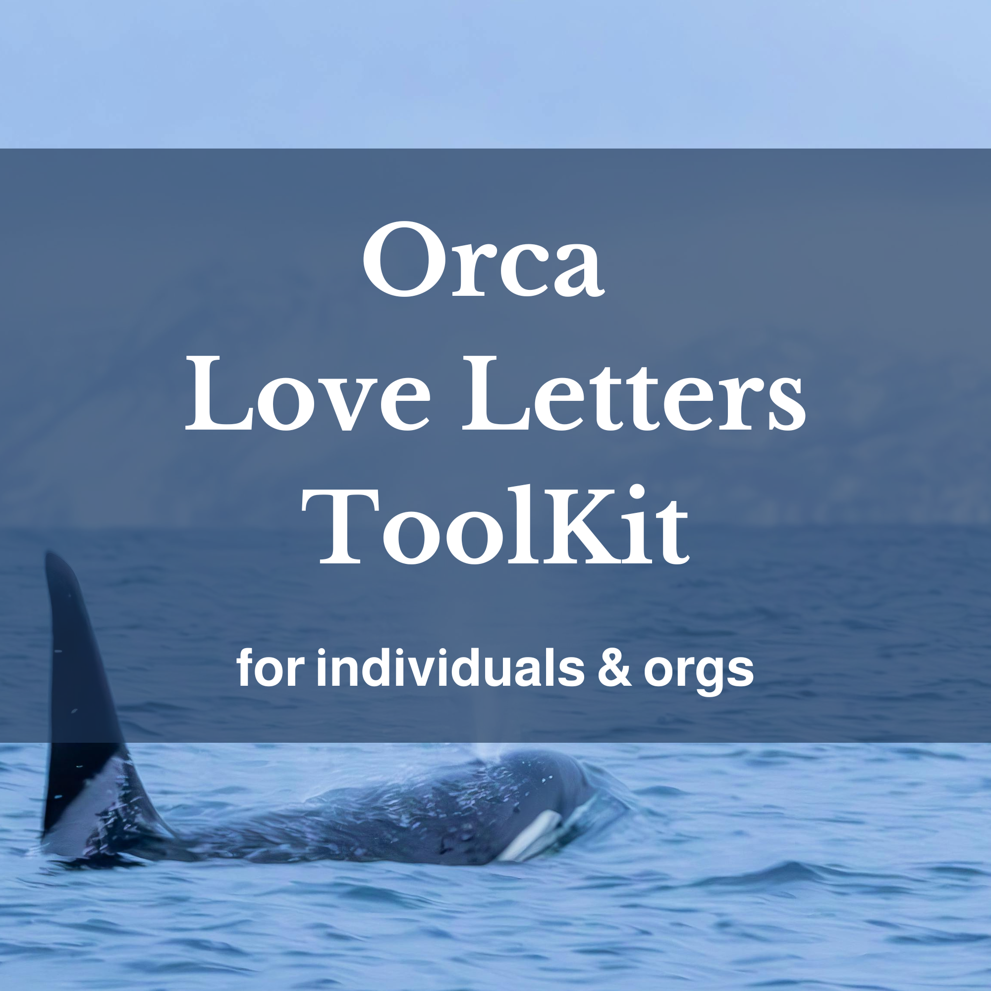 square Orca Love Letters party (1).png