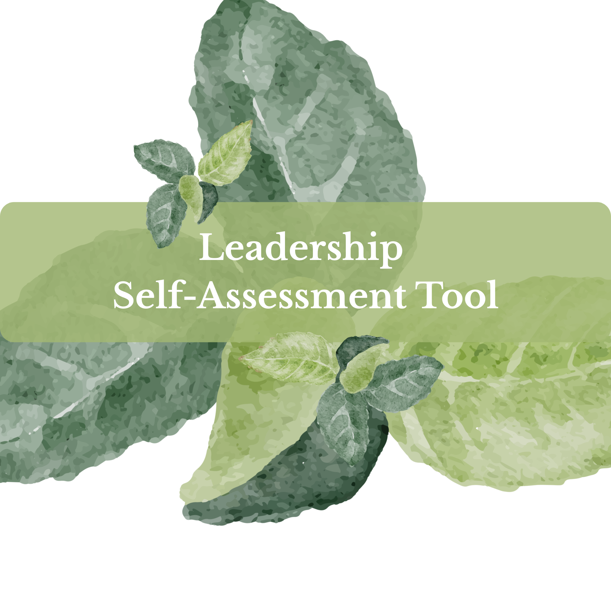 leadership self assess tool IMAGE (2).png
