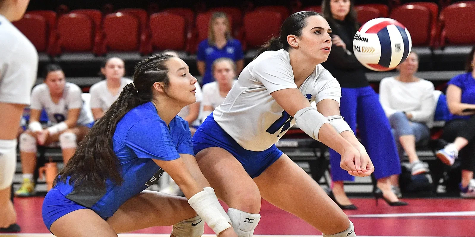 Two female volleyball players in blue and white uniforms are positioned low and ready to receive a volleyball inside a gymnasium with seated spectators in the background.
