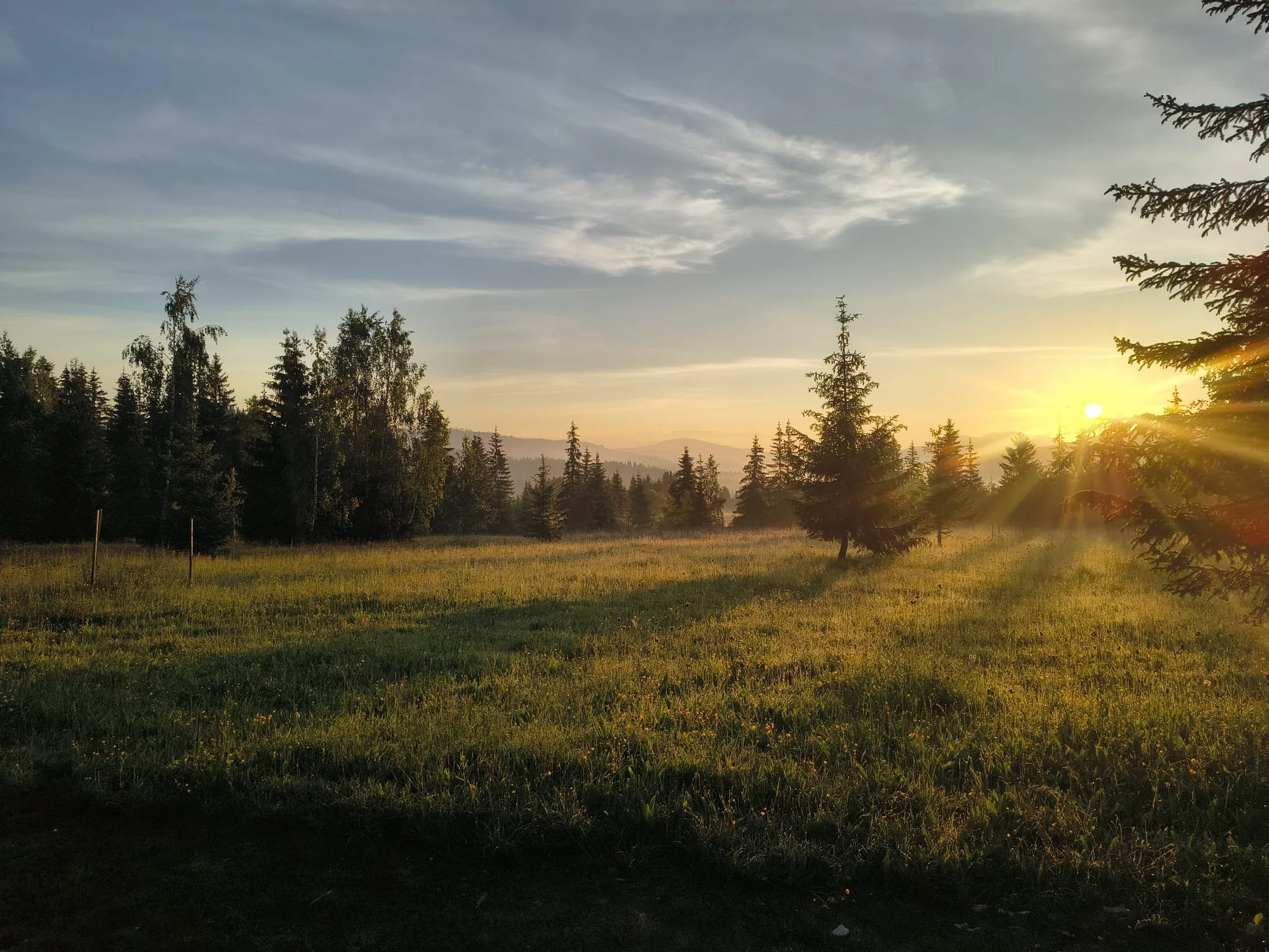 WildKind Nature Retreat Tara Dornelor Bucovina Romania - Sunrise over a forested landscape with a meadow in the foreground, silhouetted trees, and a partly cloudy sky.
