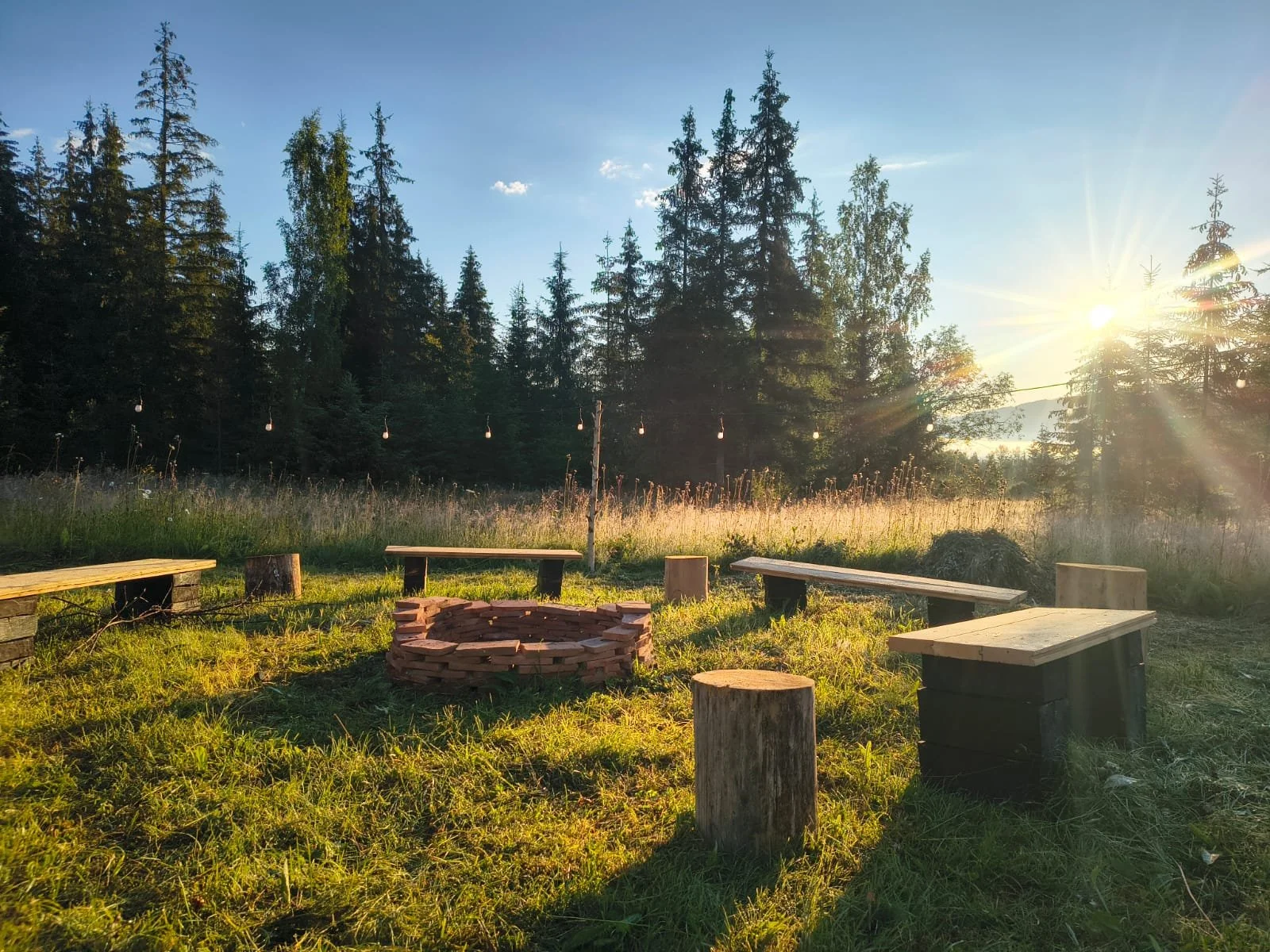 WildKind Nature Retreat Tara Dornelor Bucovina Romania Outdoor gathering area with benches, tree stumps, a fire pit, string lights, surrounded by trees, with sunlight shining through.