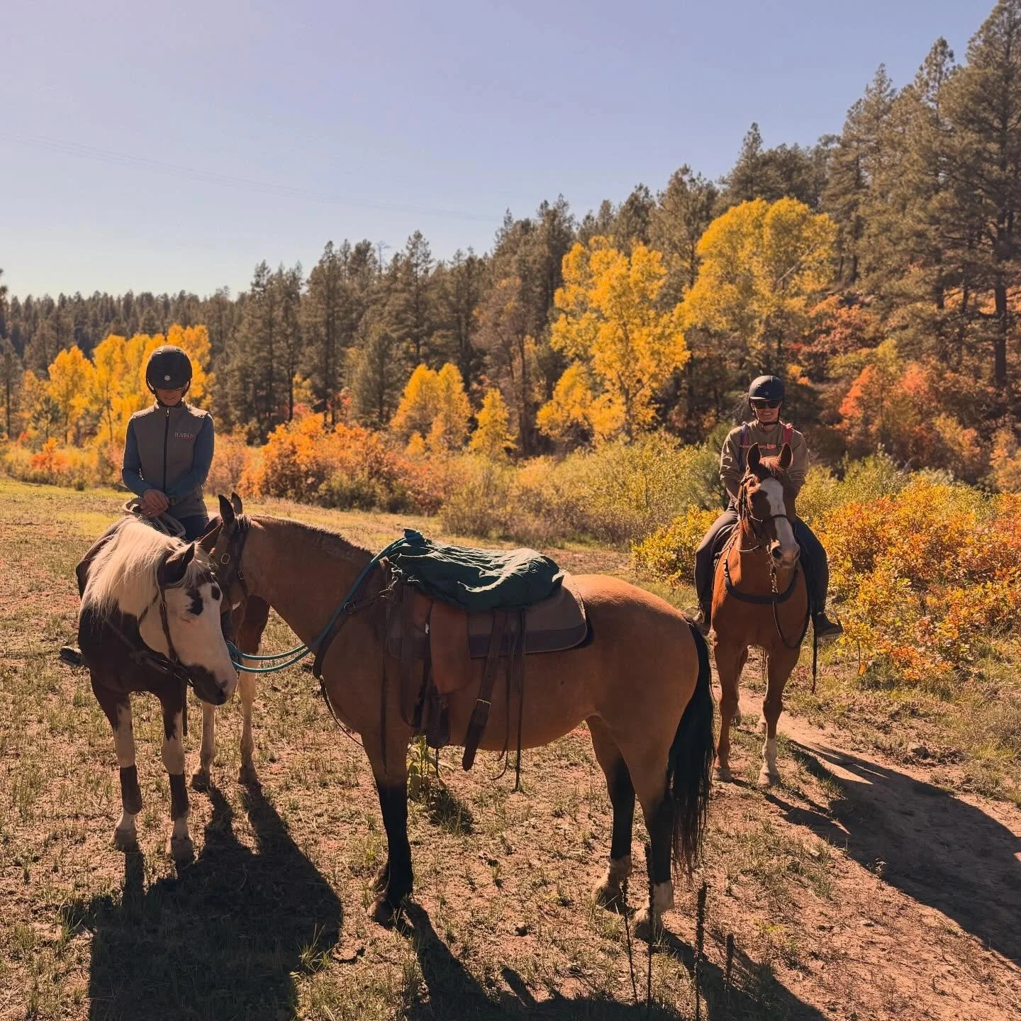 Girlhood adventures in the canyon