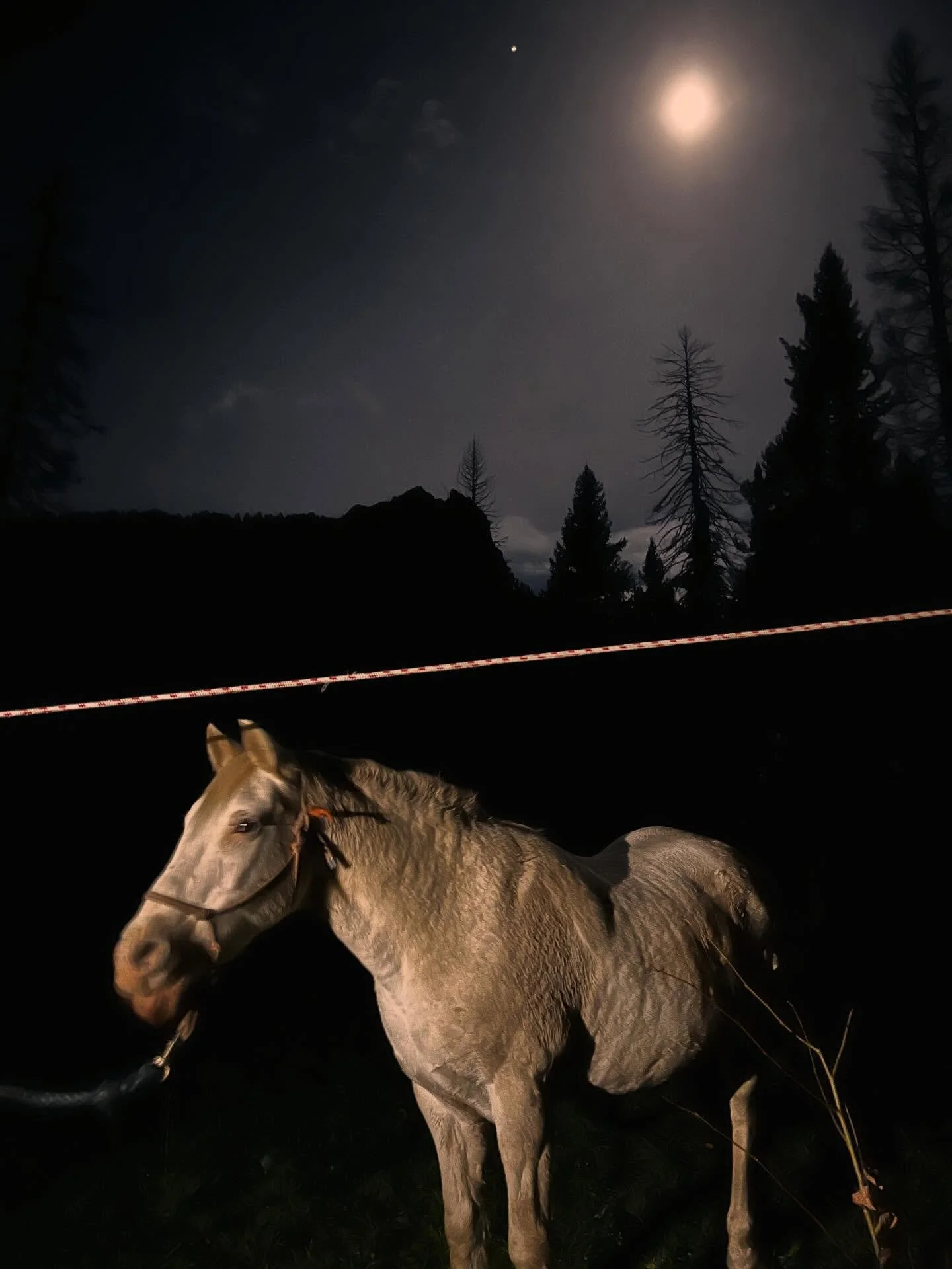 Camping under the stars