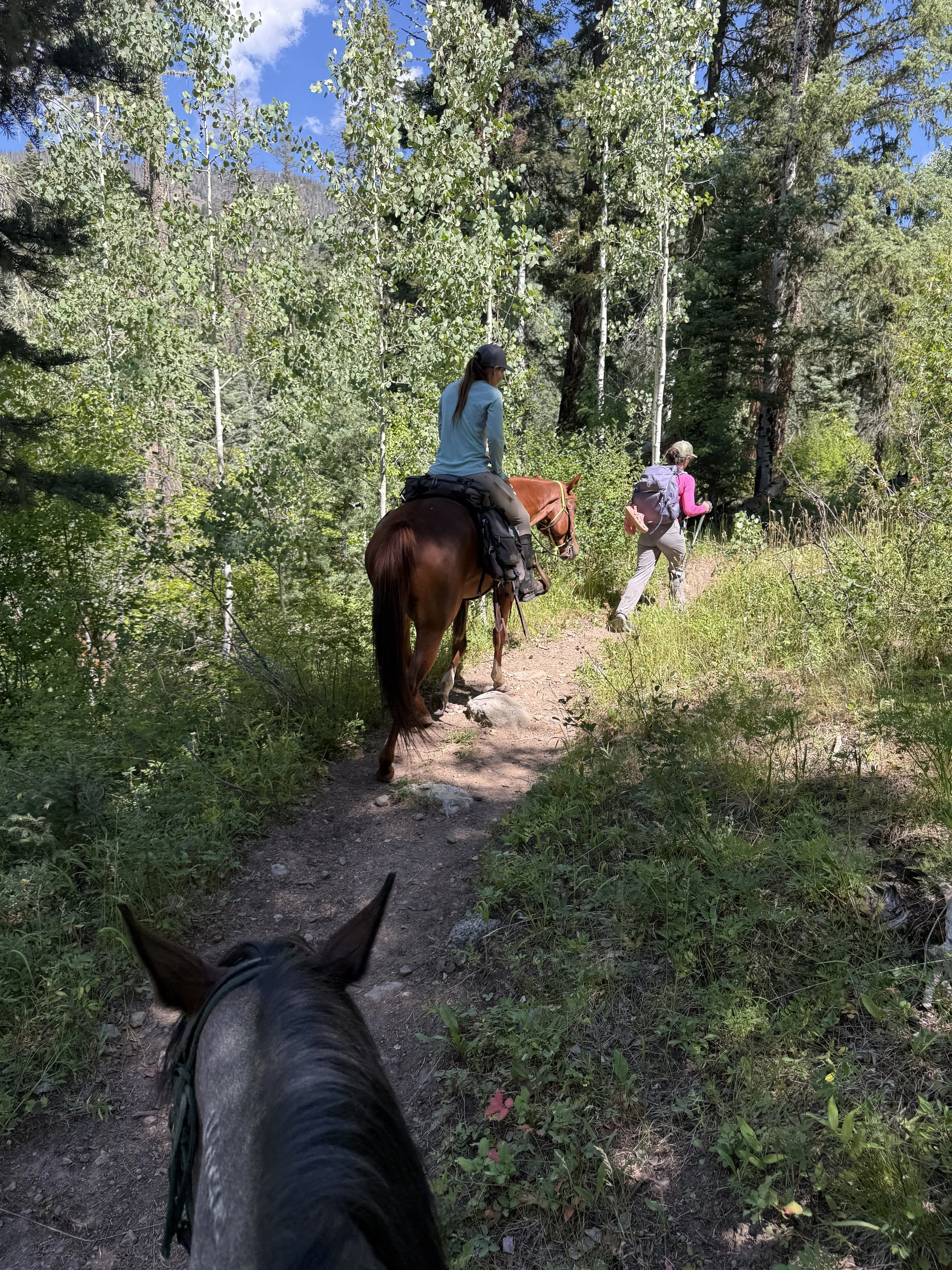 IMG_1077.jpeg (Copy)