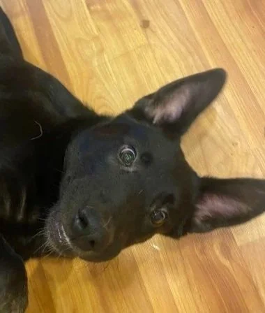 Luna