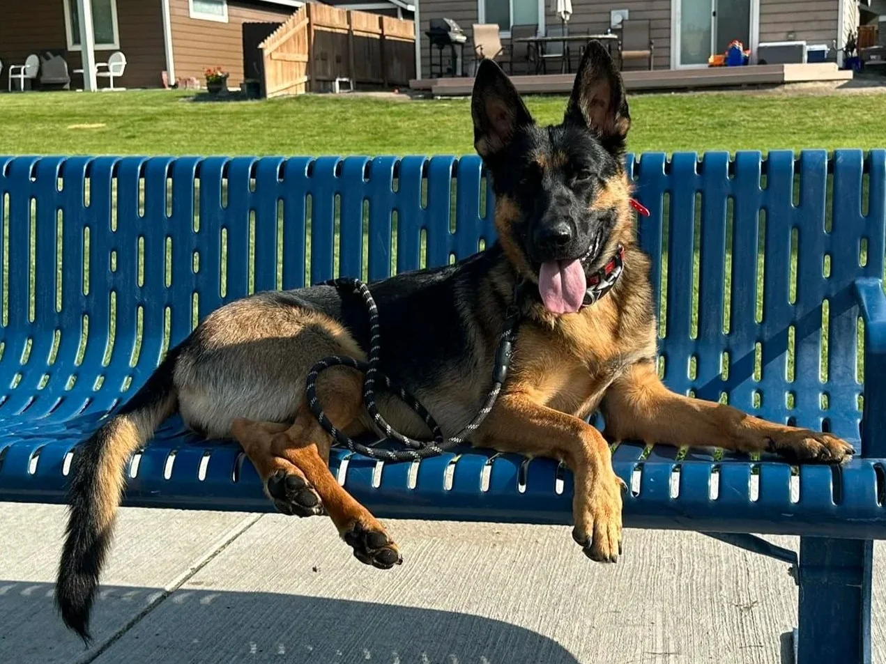 Ziva