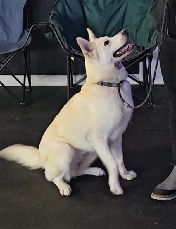 June - Focused Sit