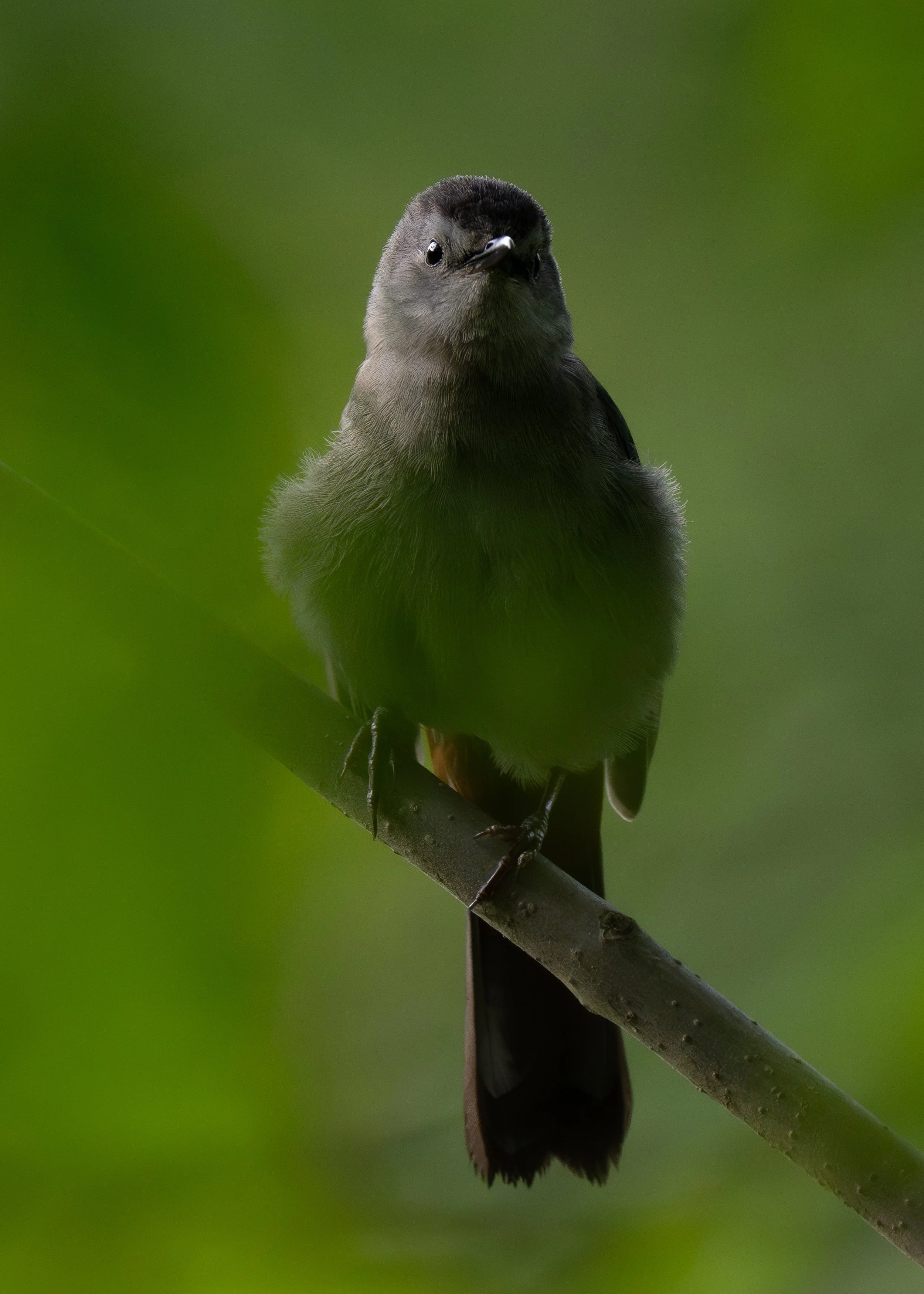 DSC07413.jpg