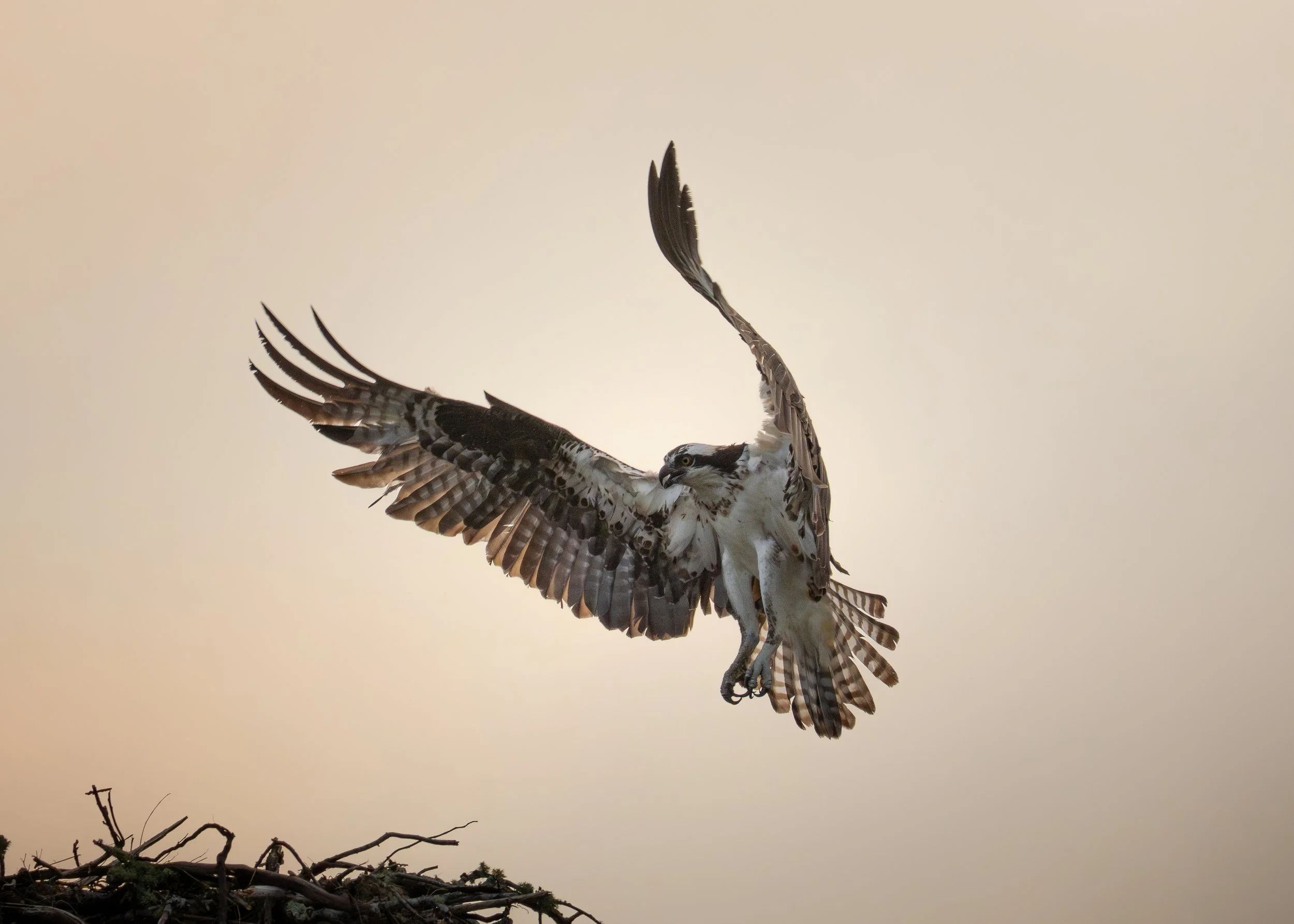 Approach