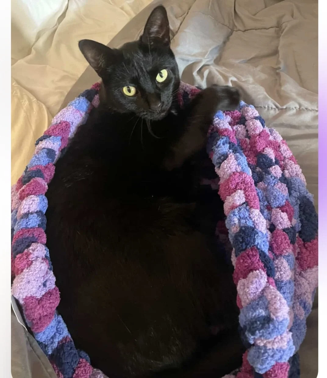 “My cat and I absolutely love this Pet Pad”