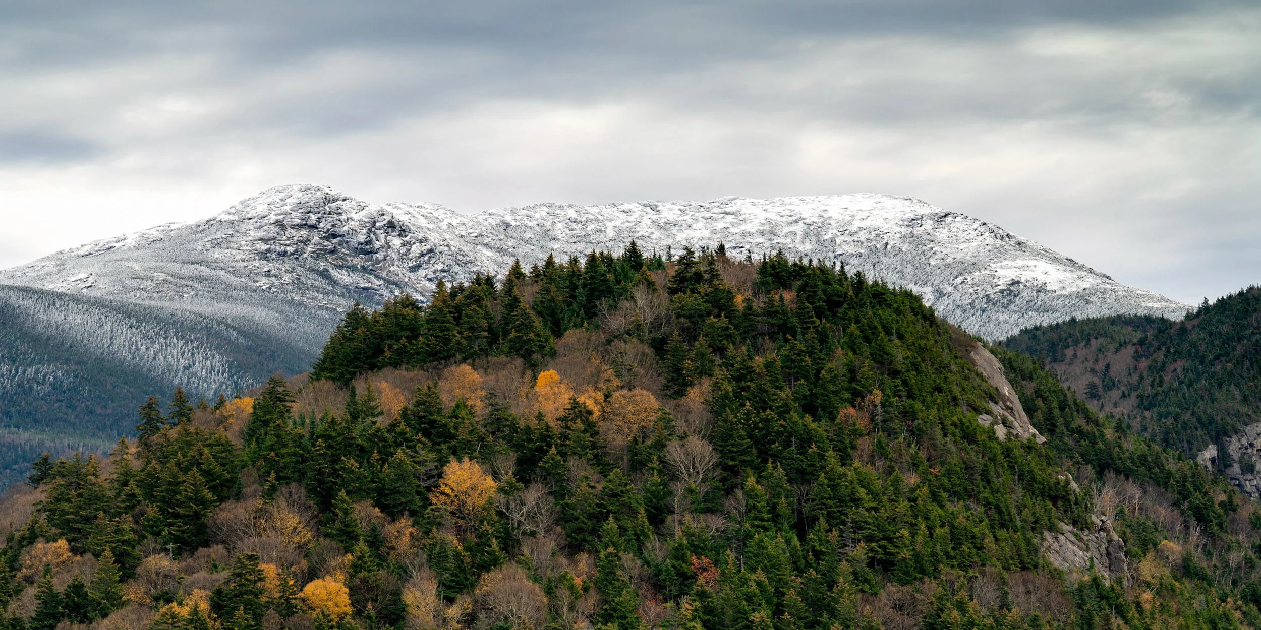 Website (Korich)-29.jpg