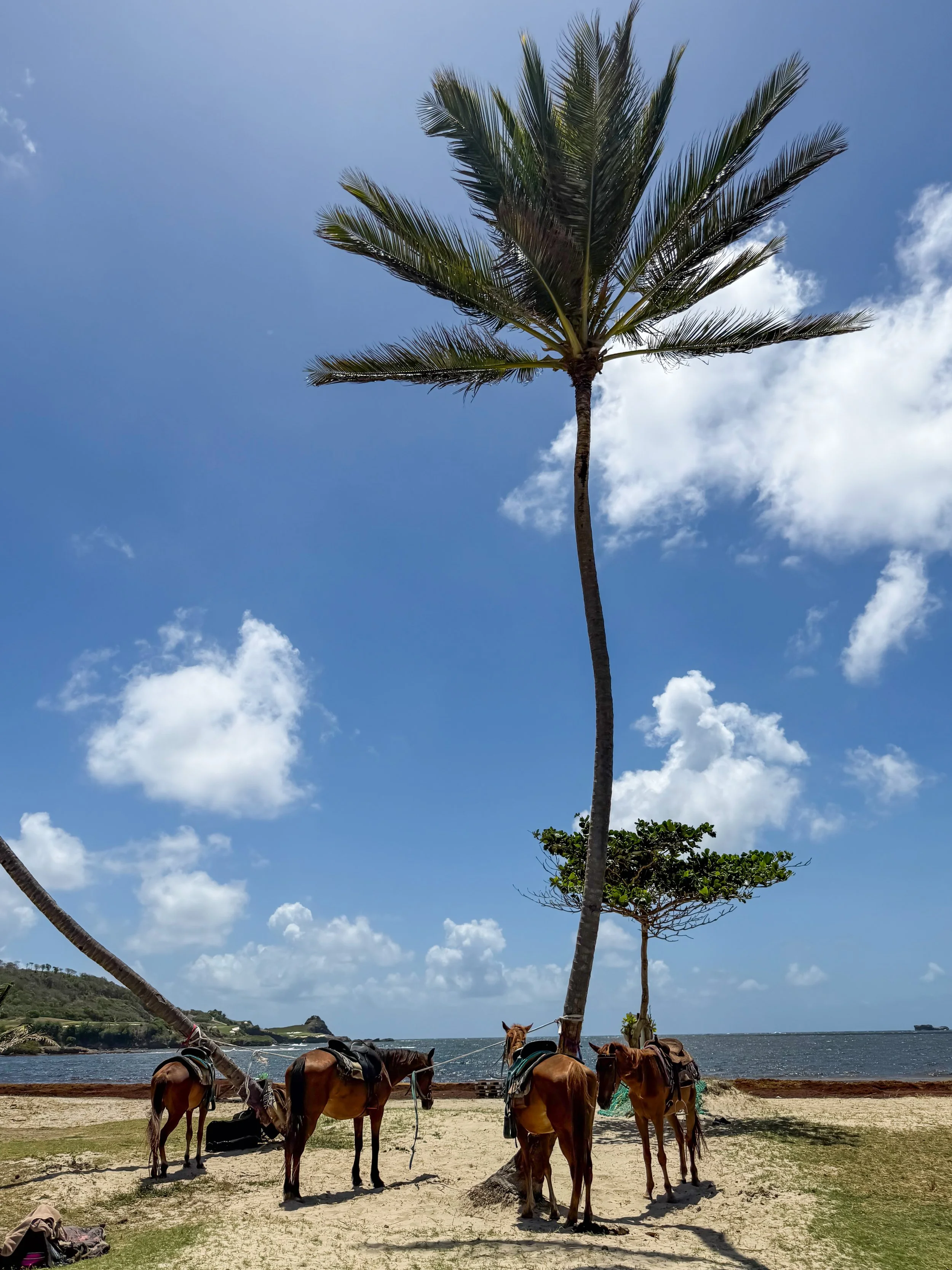 St. Lucia