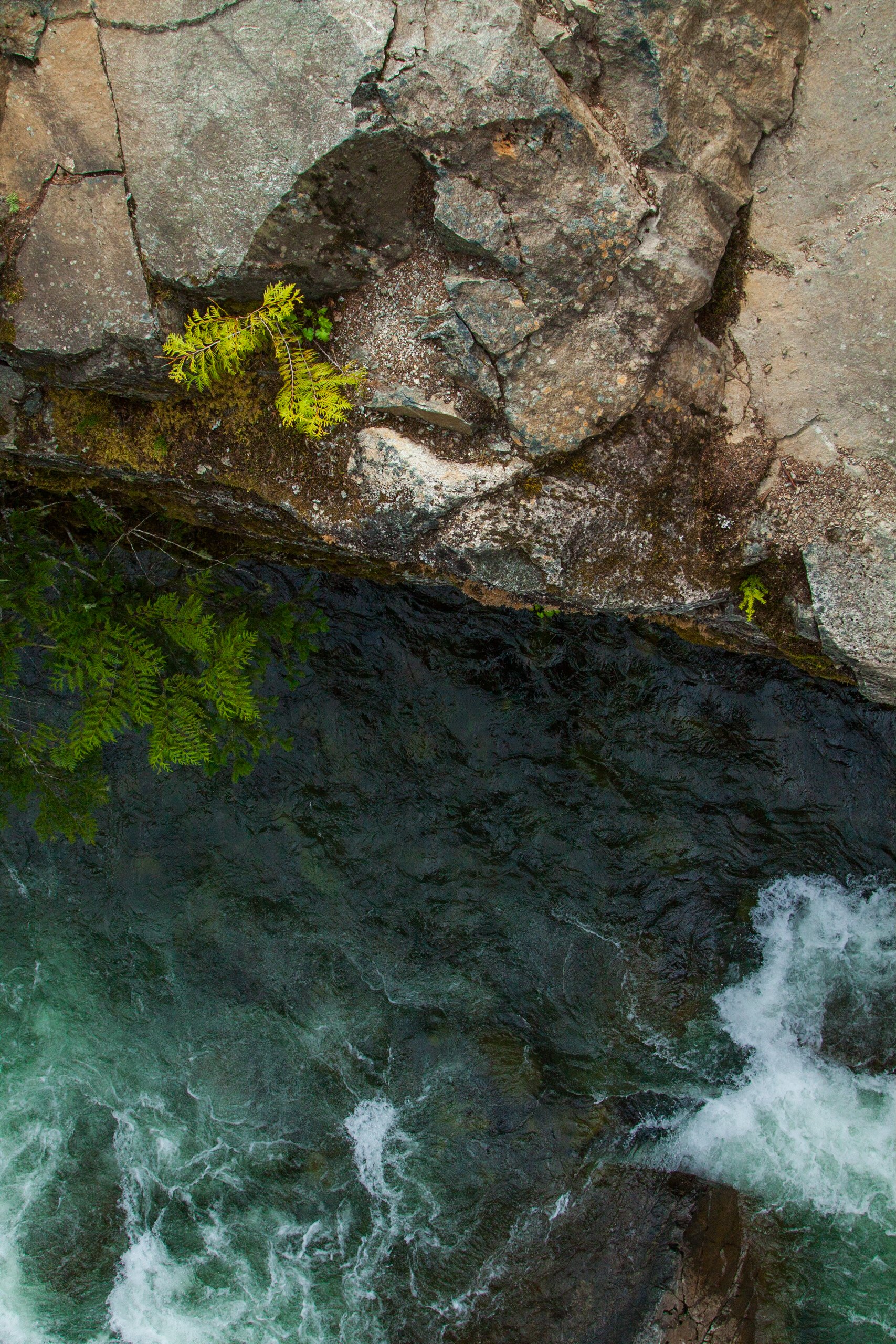 Website (Korich)-4.jpg