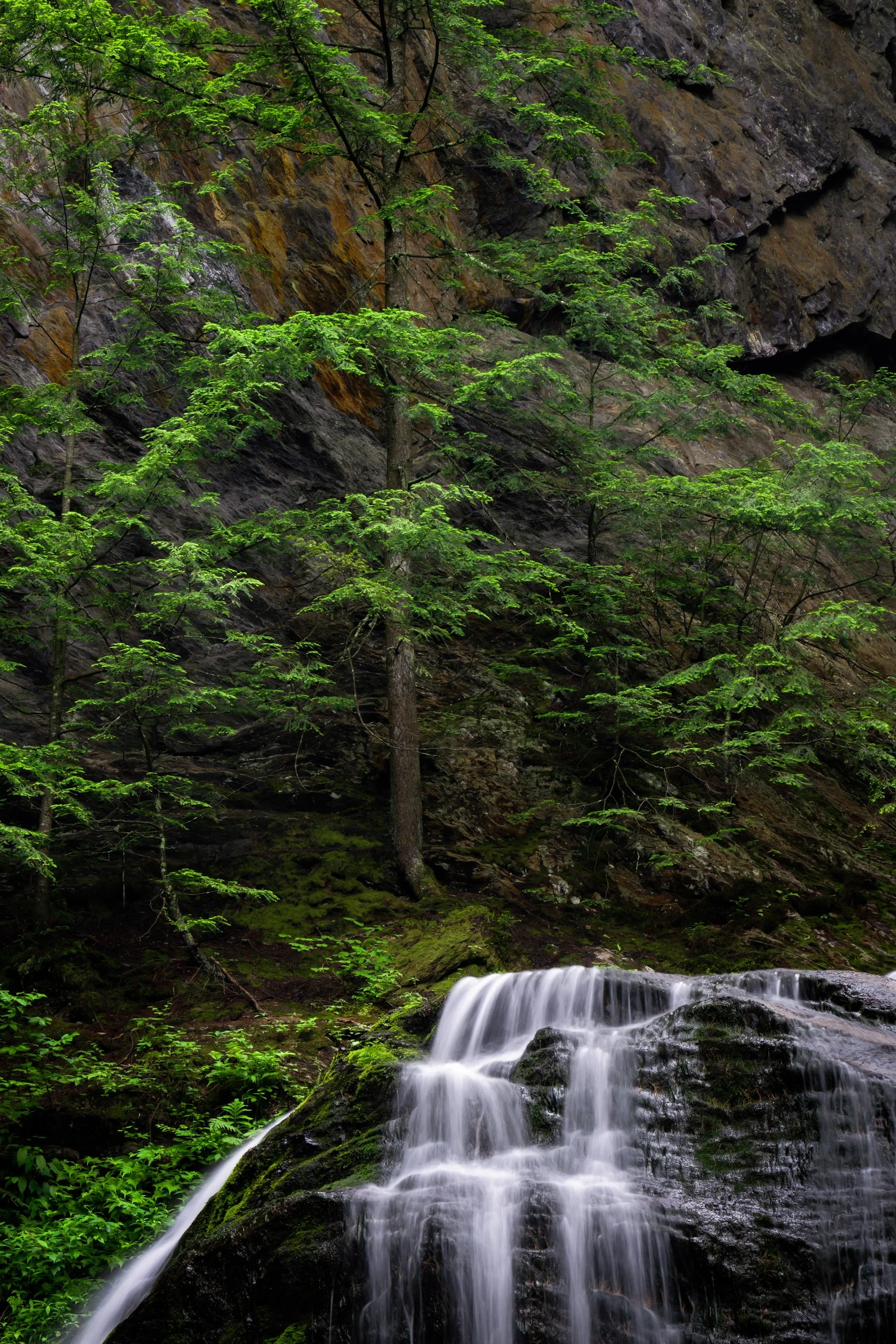 Website (Korich)-30.jpg