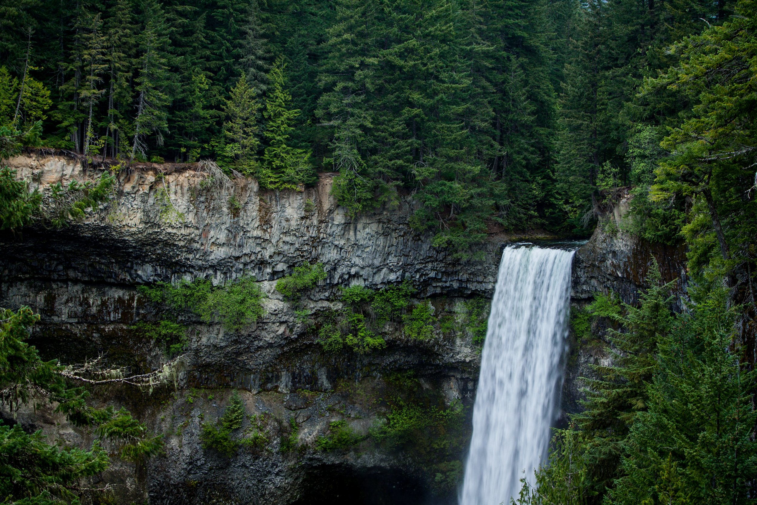 Website (Korich)-3.jpg