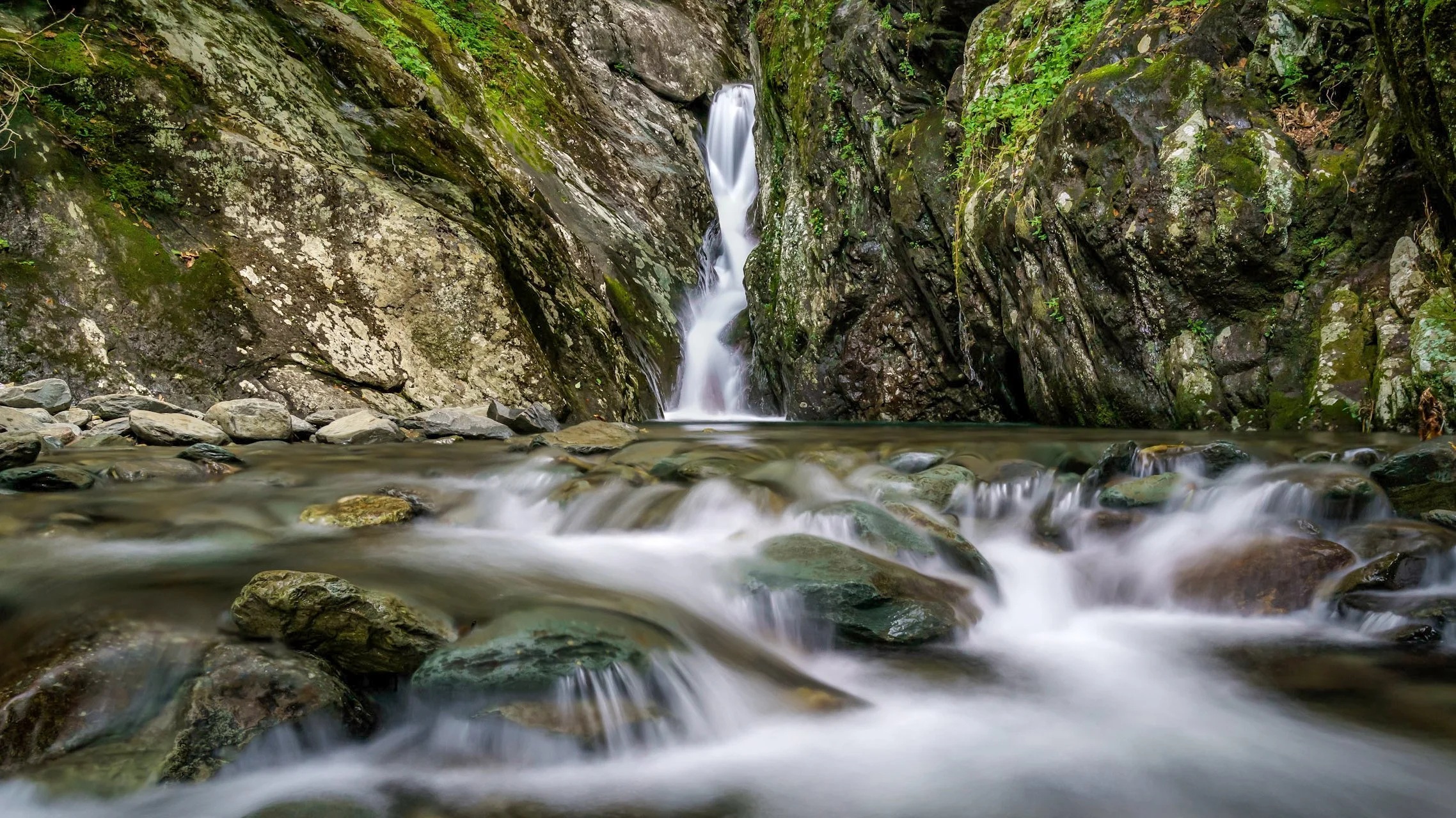 Website (Korich)-22.jpg